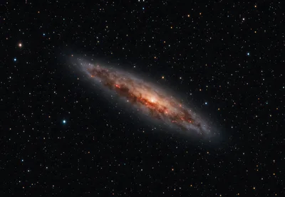 NGC 55 Spiral Galaxy in Sculptor Constellation