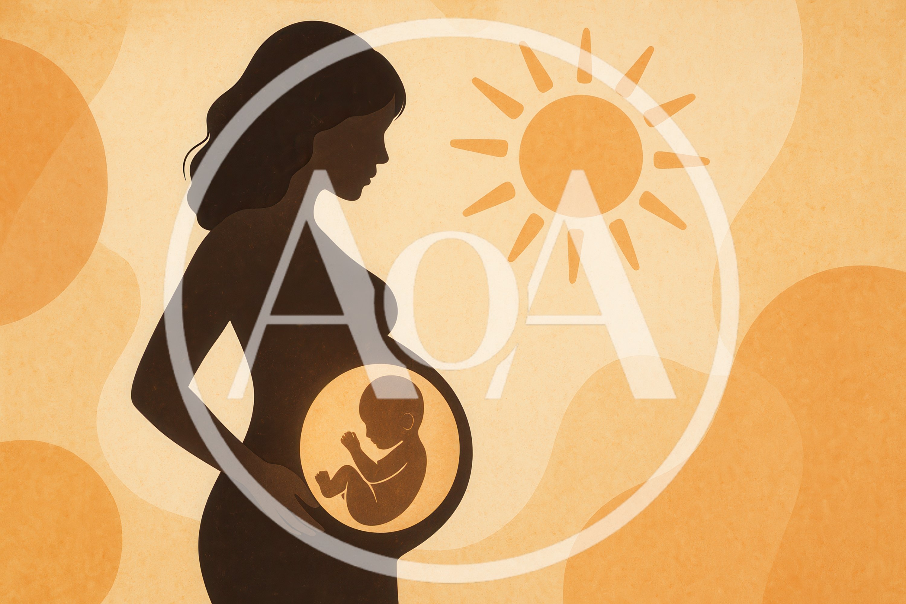 Silhouette Of A Pregnant Woman With Fetus Illustration