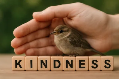 Human Hand Protecting A Small Bird On Kindness Blocks