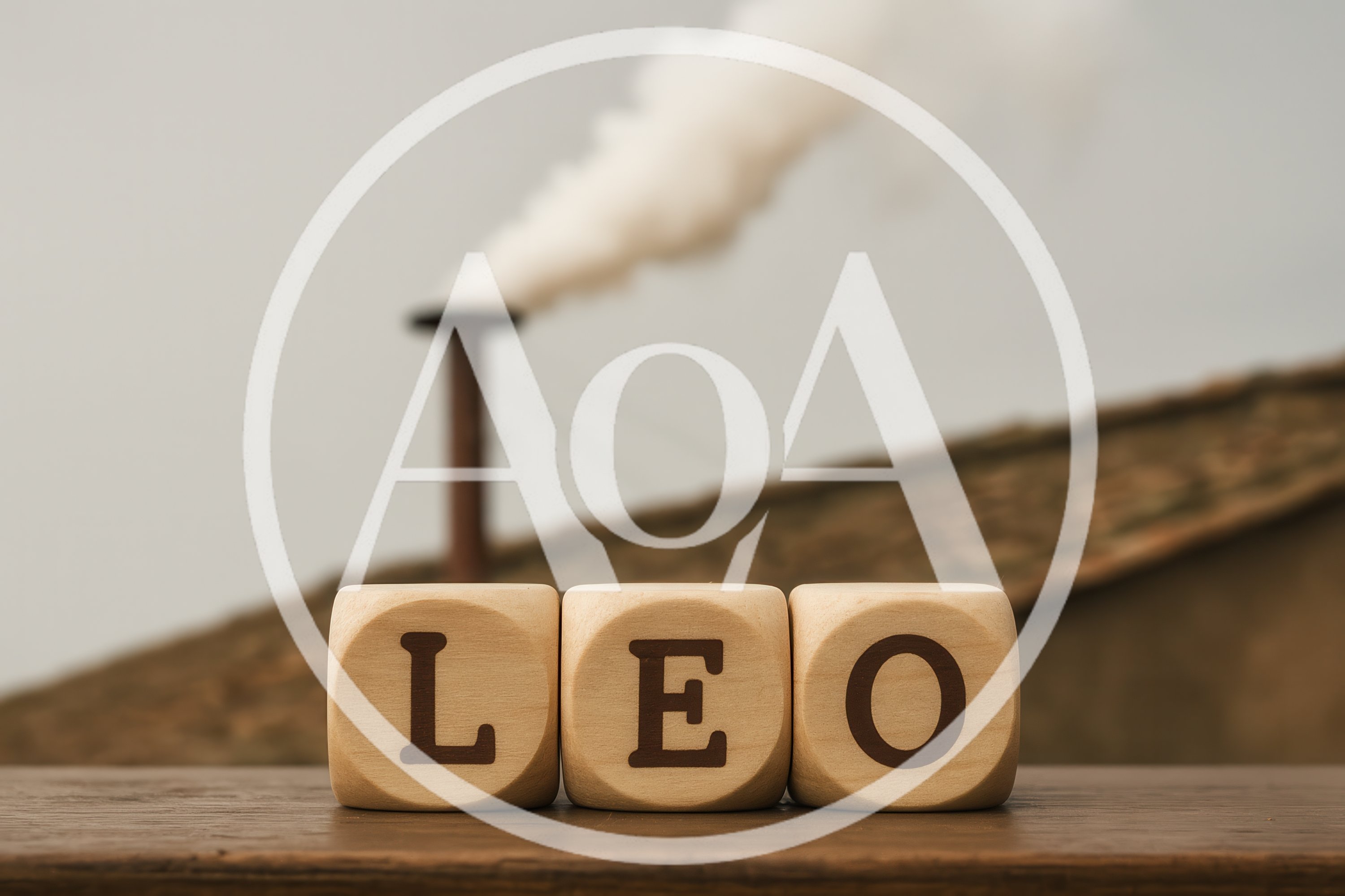 Wooden Blocks Spelling Leo With Industrial Smoke Background