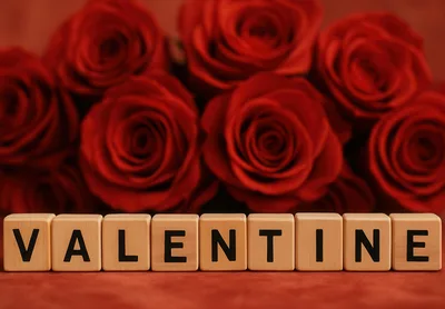 Wooden Blocks Spelling Valentine With Red Roses Background