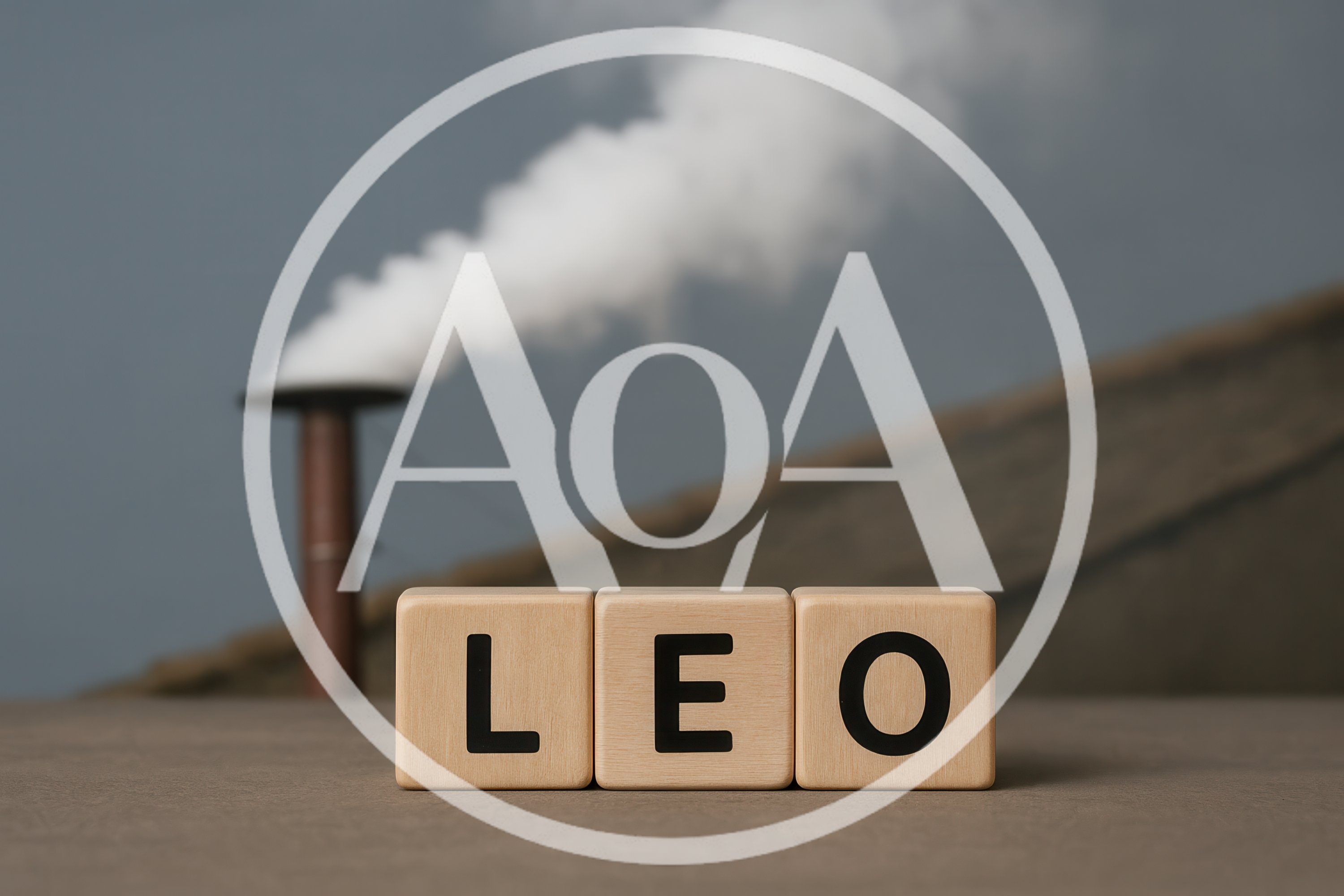 Wooden Blocks Spelling Leo With Industrial Smoke Background
