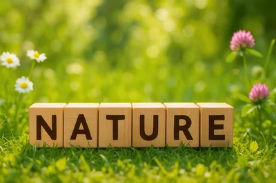 Wooden Blocks Spelling Nature On Green Grass