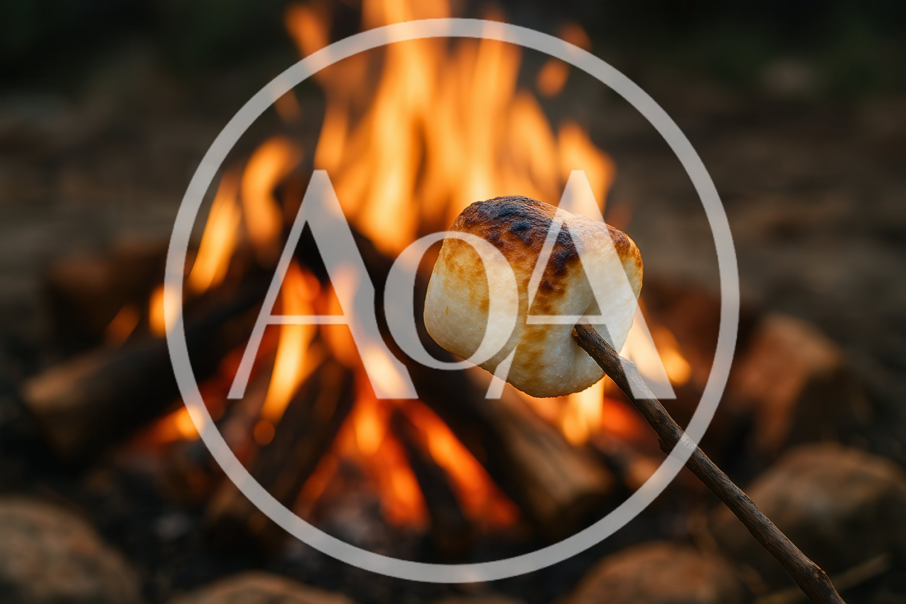 Toasting A Marshmallow Over A Campfire