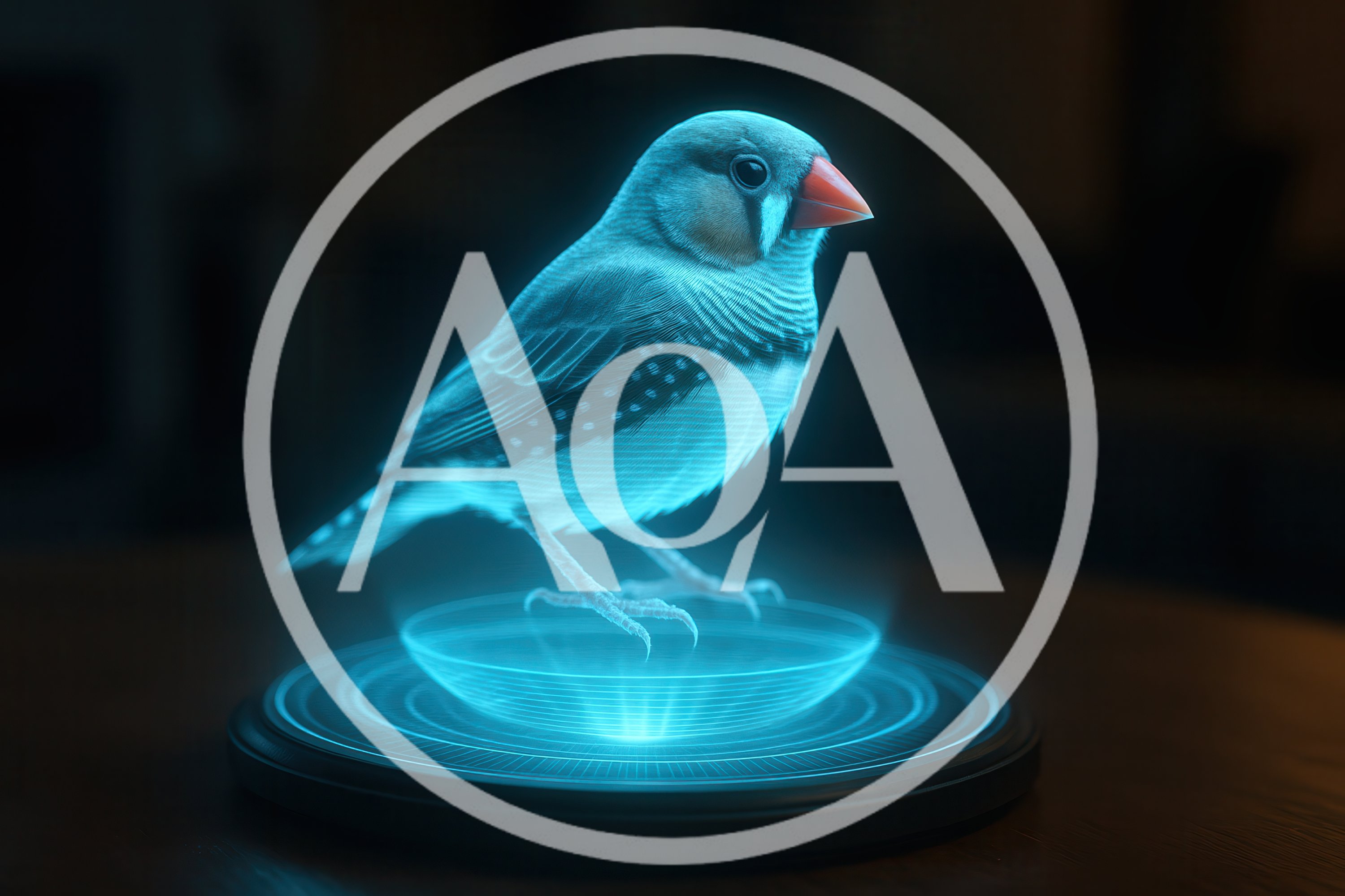 Holographic Zebra Finch Projection On Dark Surface