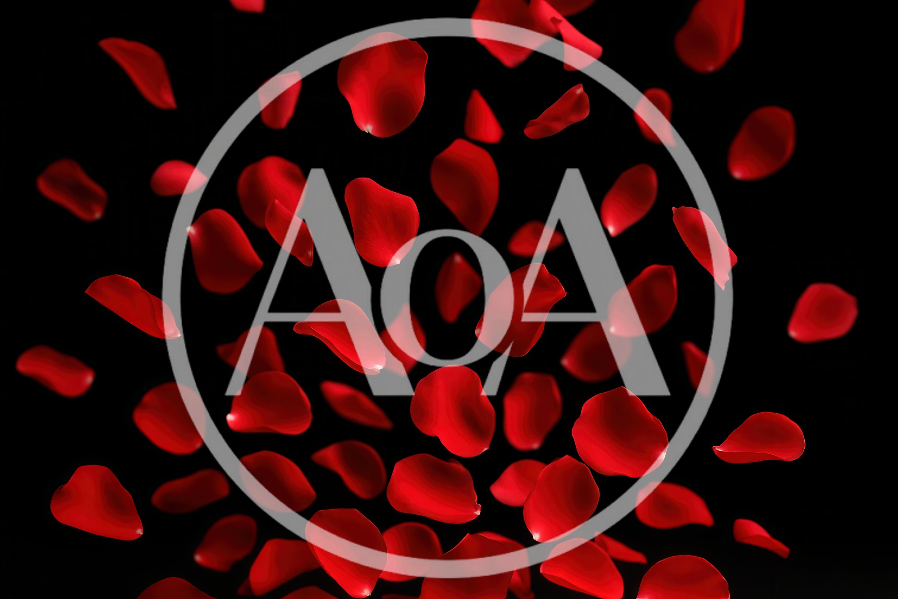 Falling Red Rose Petals On Black Background