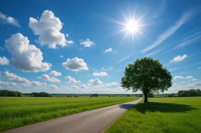 Solitary Tree Beside A Country Road In Green Fields