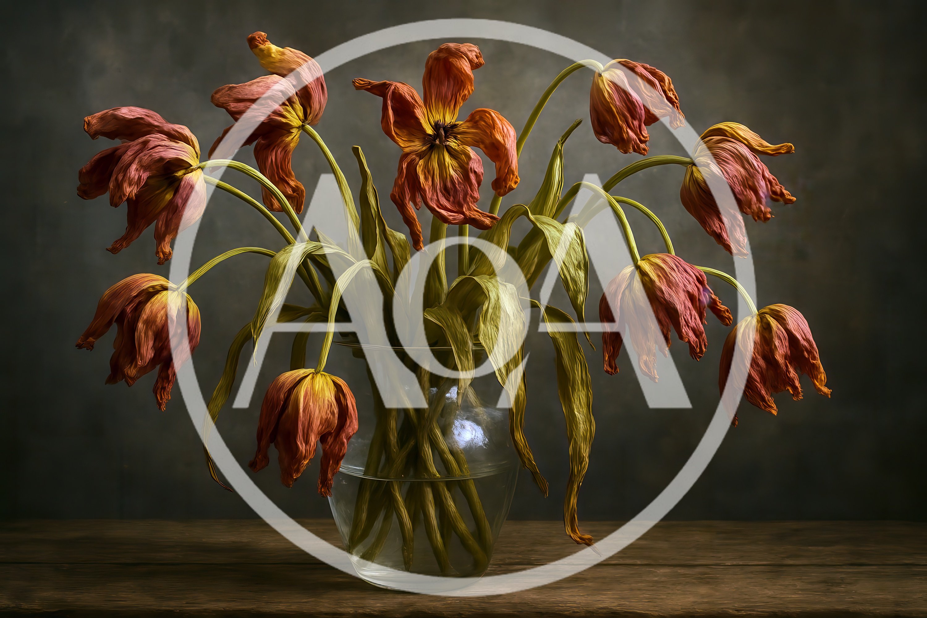 Wilted Tulips In A Glass Vase Still Life