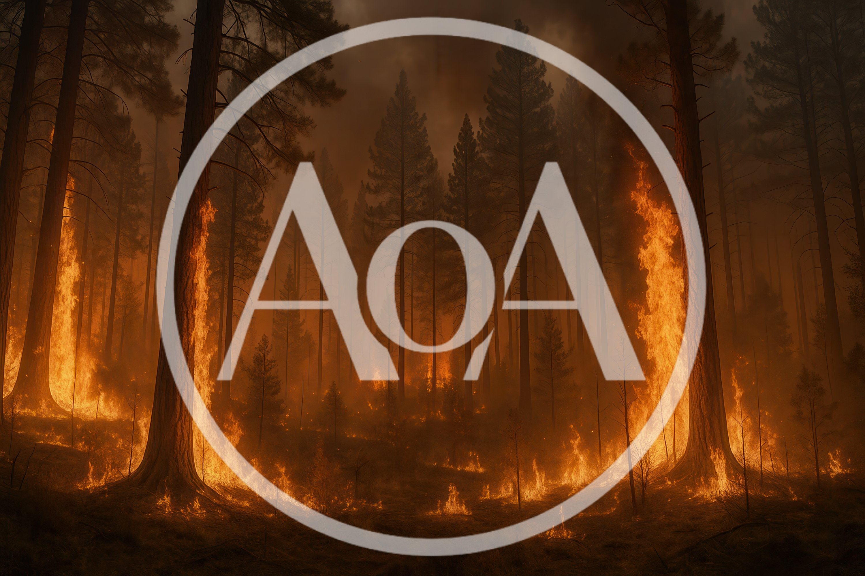 Intense Forest Fire Burning Through Dense Pine Woods