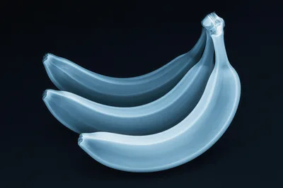 X-Ray Style Blue Bananas On Dark Background