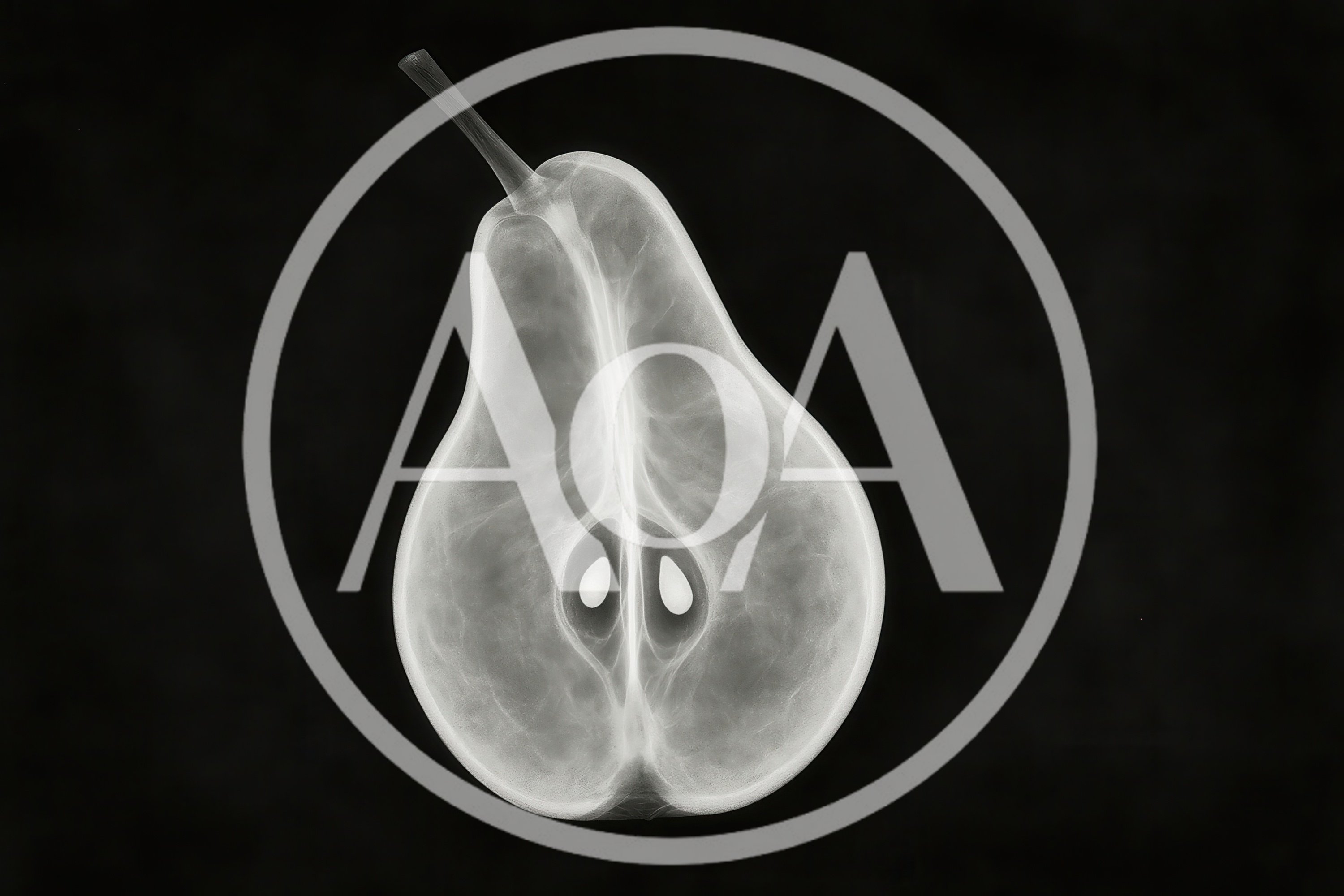 X-Ray Scan Of A Sliced Pear