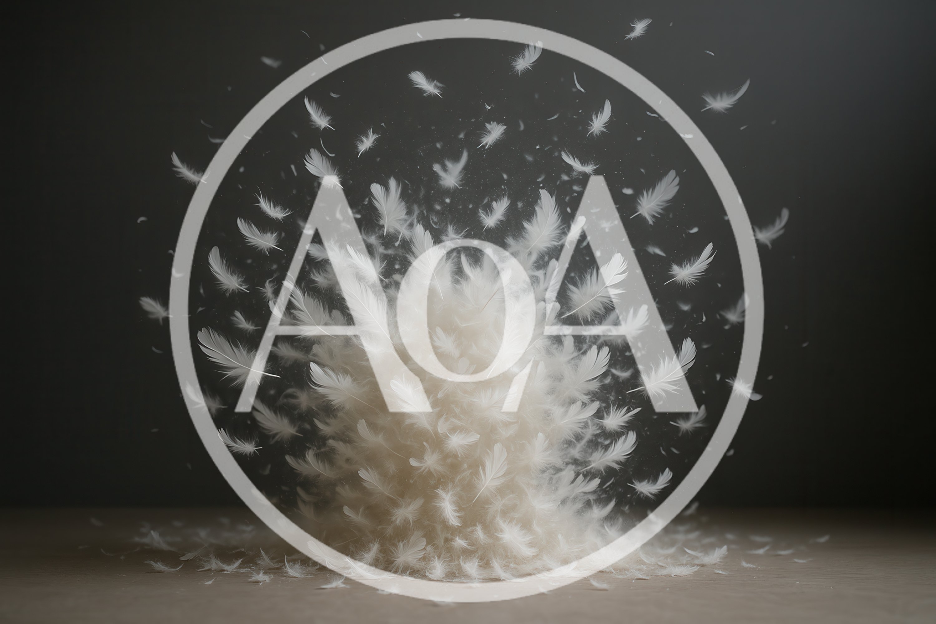 Explosion Of White Feathers On Dark Background