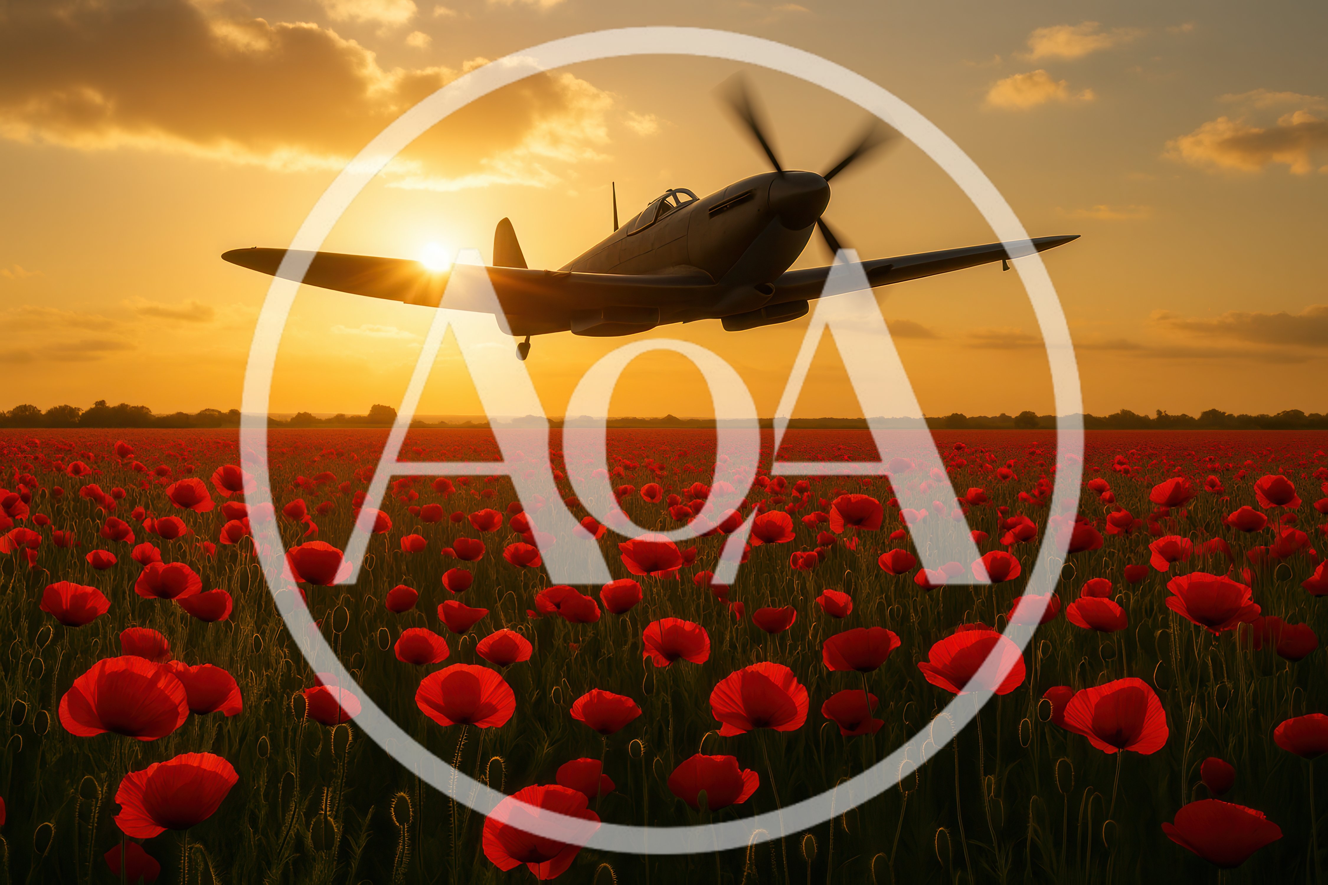 Vintage Spitfire Airplane Flying Over A Poppy Field