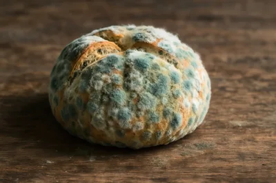 Moldy Bread Loaf On A Wooden Table