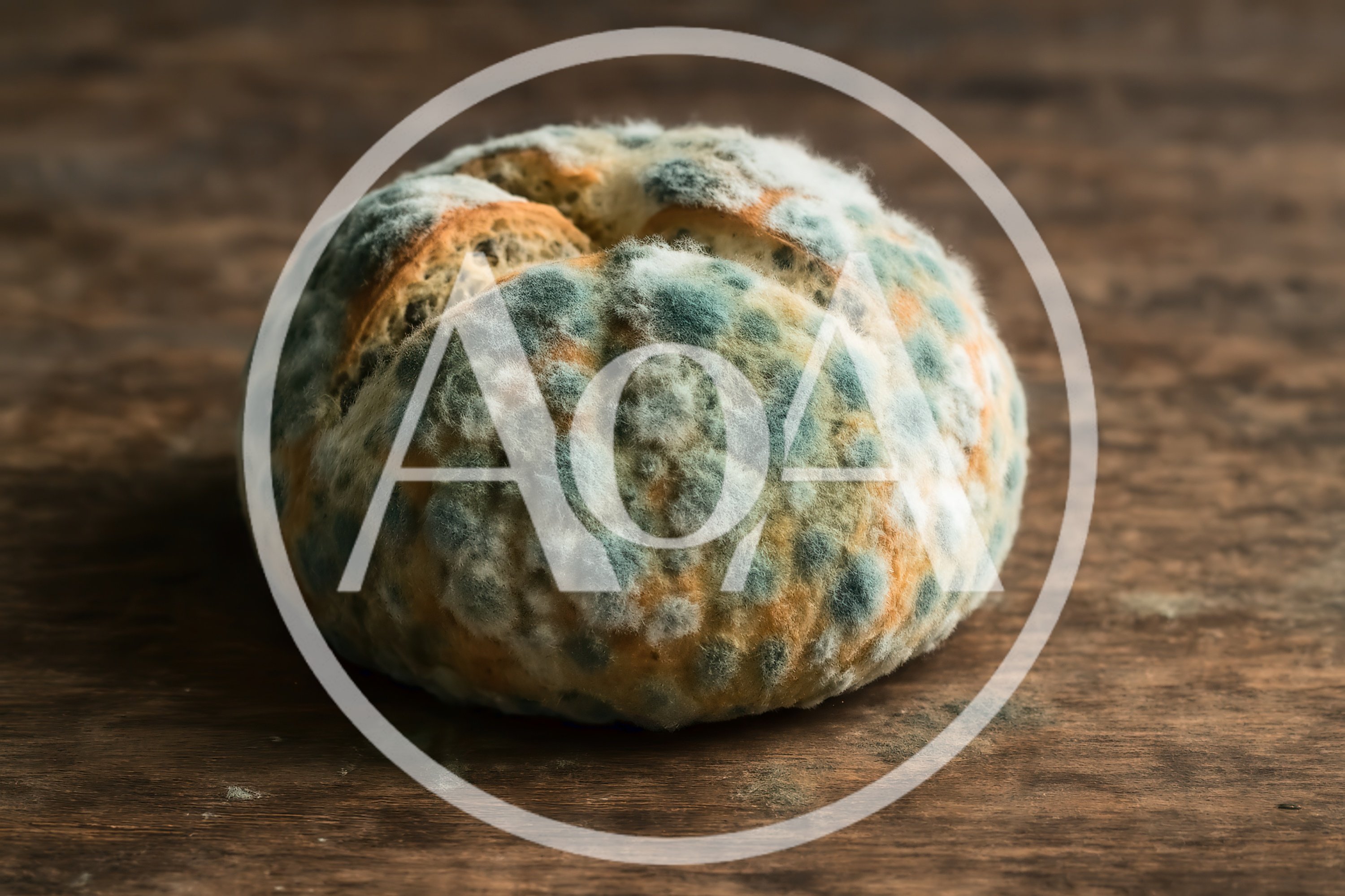 Moldy Bread Loaf On A Wooden Table