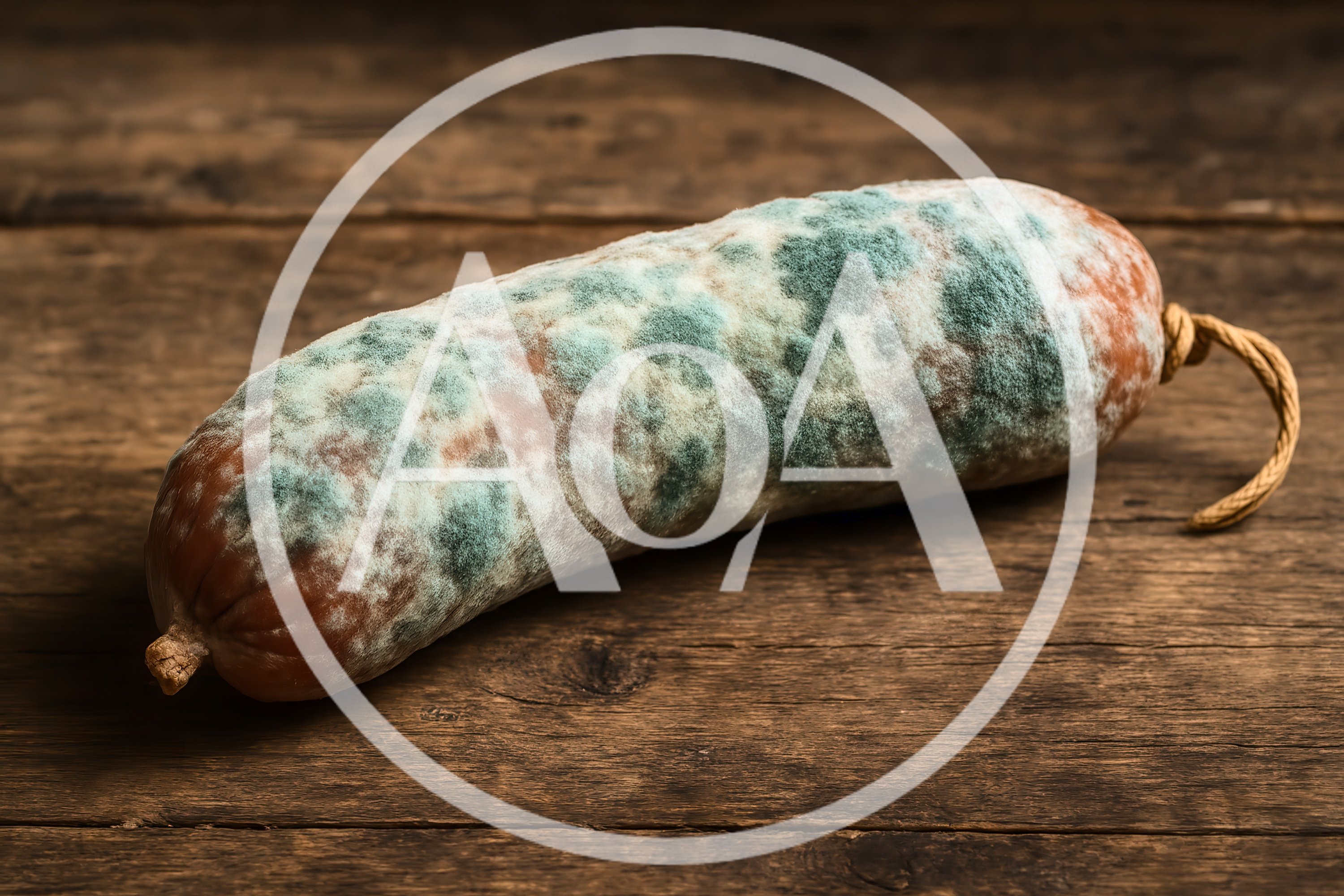 Moldy Sausage On A Rustic Wooden Table