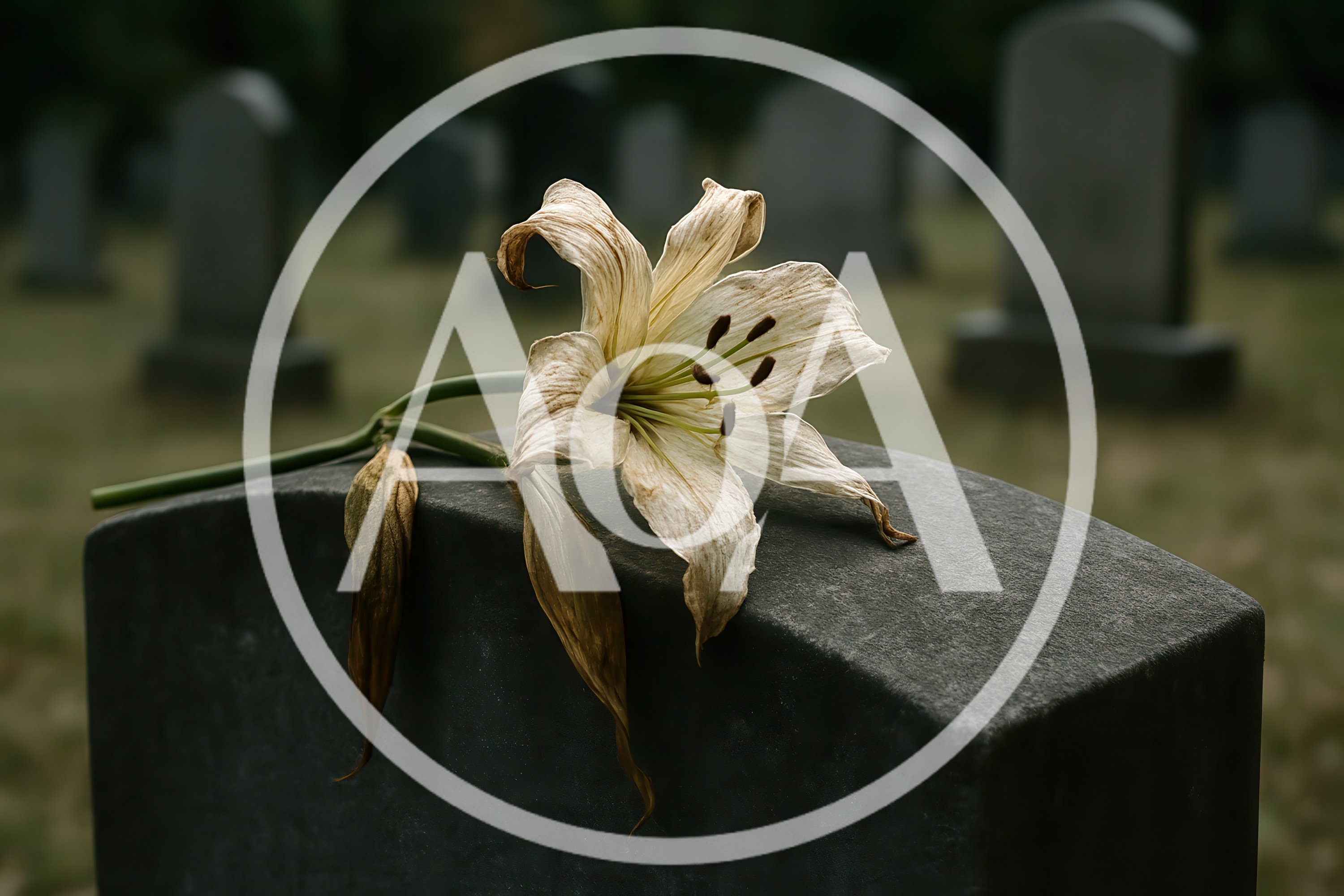 Wilted White Lily Resting On A Dark Granite Headstone