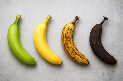 Four Bananas Showing Different Stages Of Ripeness