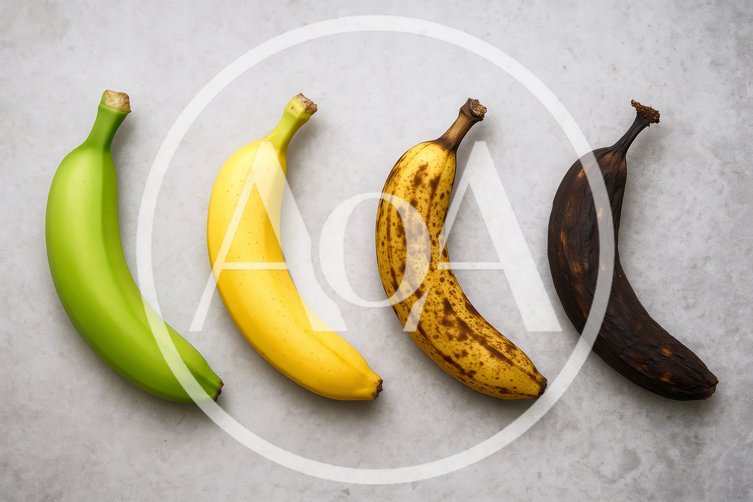 Four Bananas Showing Different Stages Of Ripeness