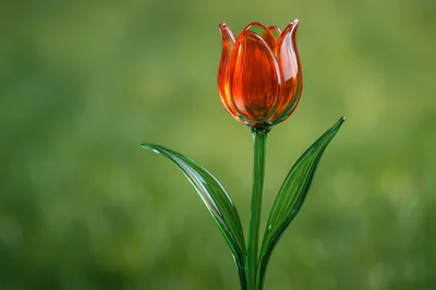 Glass Tulip Sculpture Against A Blurred Green Background