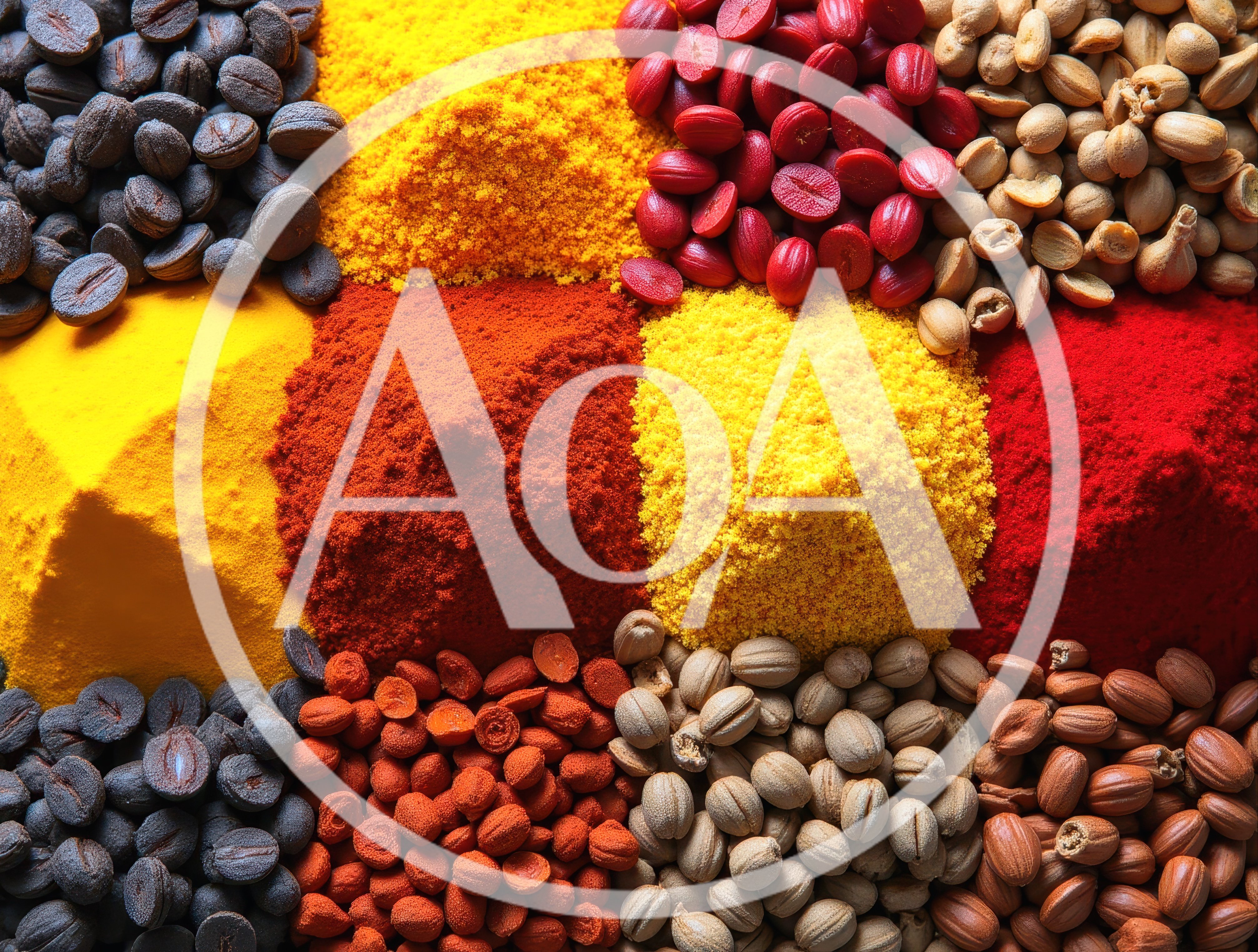 Assorted Colorful Spices and Seeds in Piles