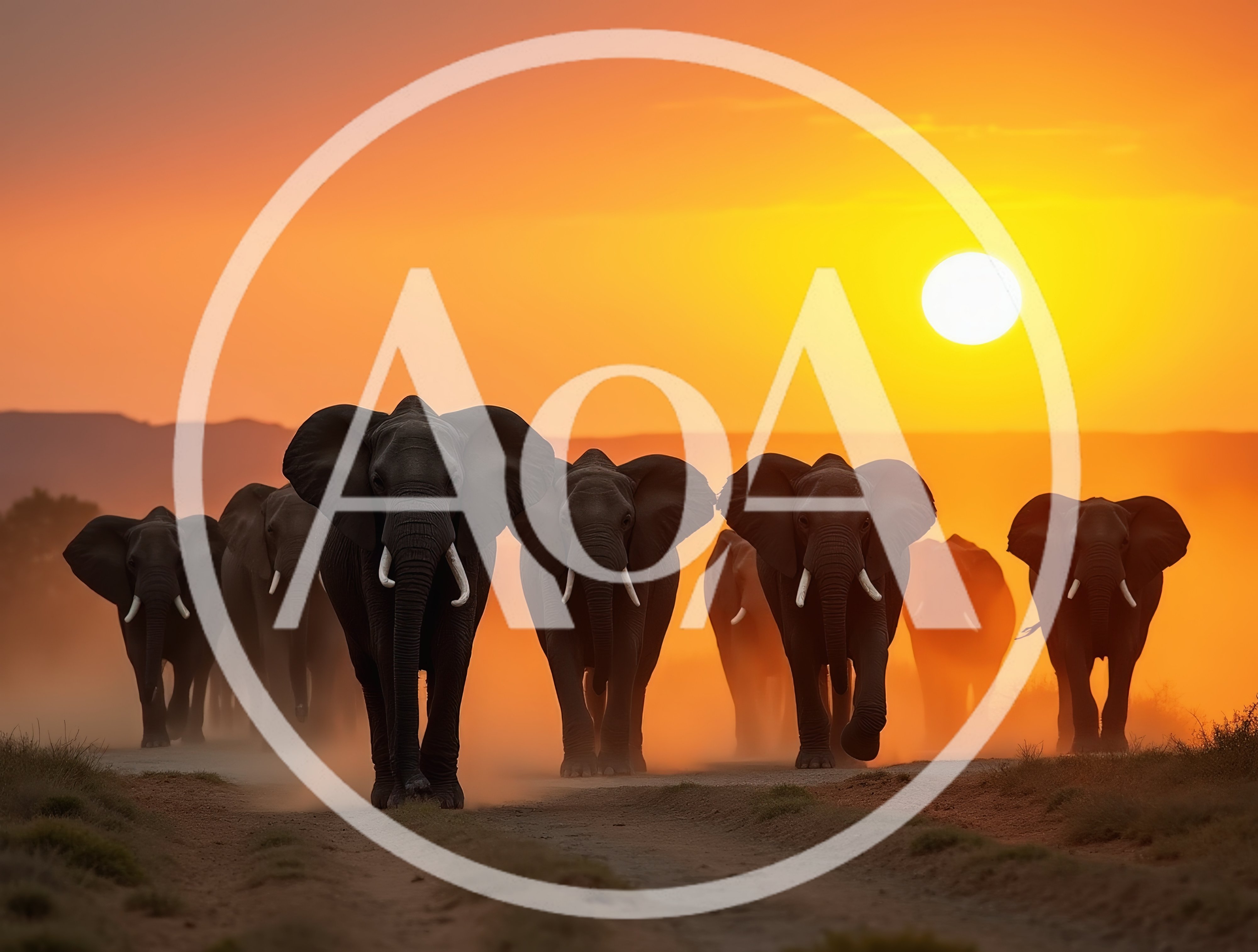 Herd Of African Elephants Walking On Dusty Savannah