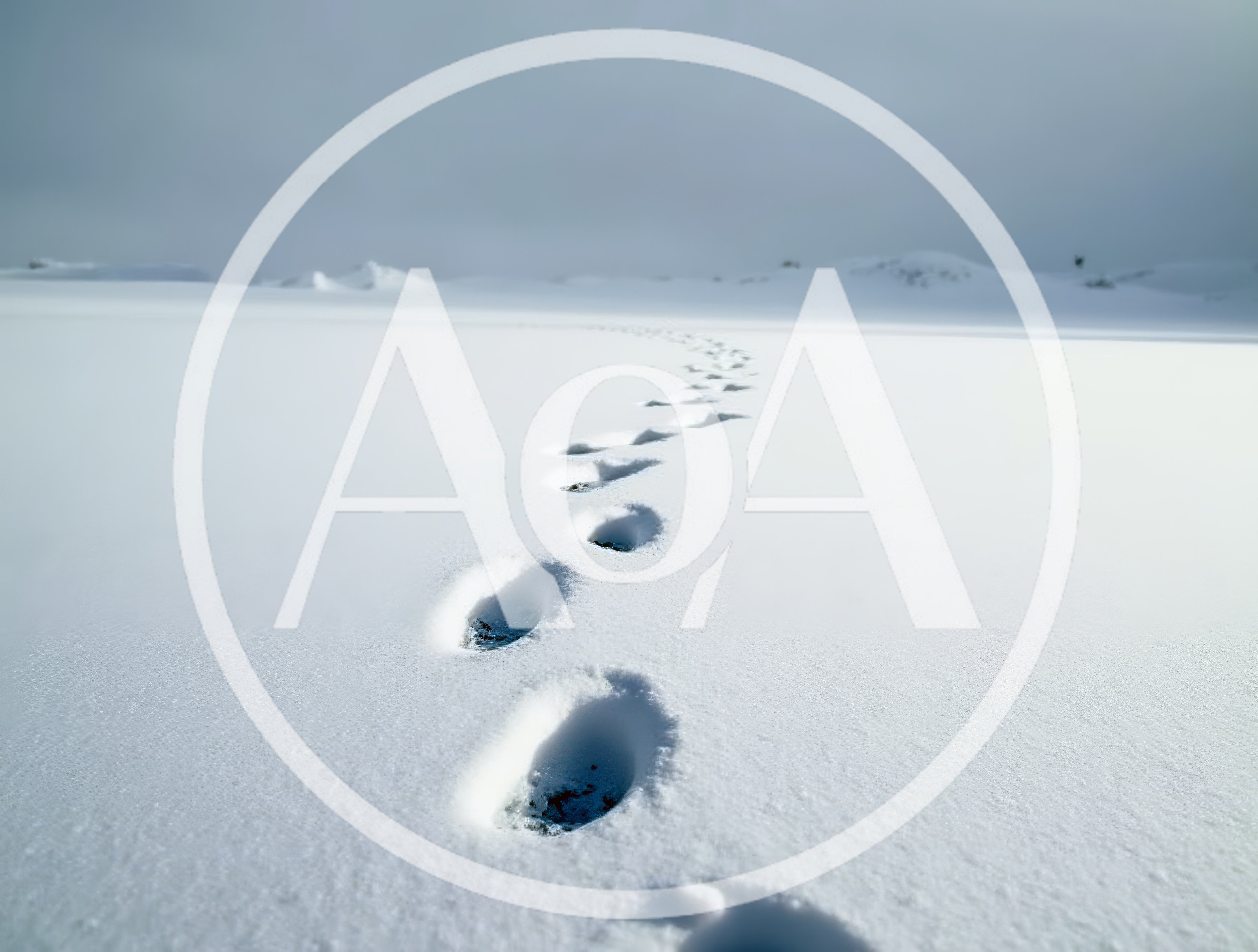 Footprints Leading Into A Vast Snowy Landscape