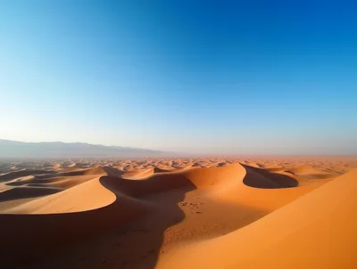 Vast Golden Sand Dunes In The Sahara Desert