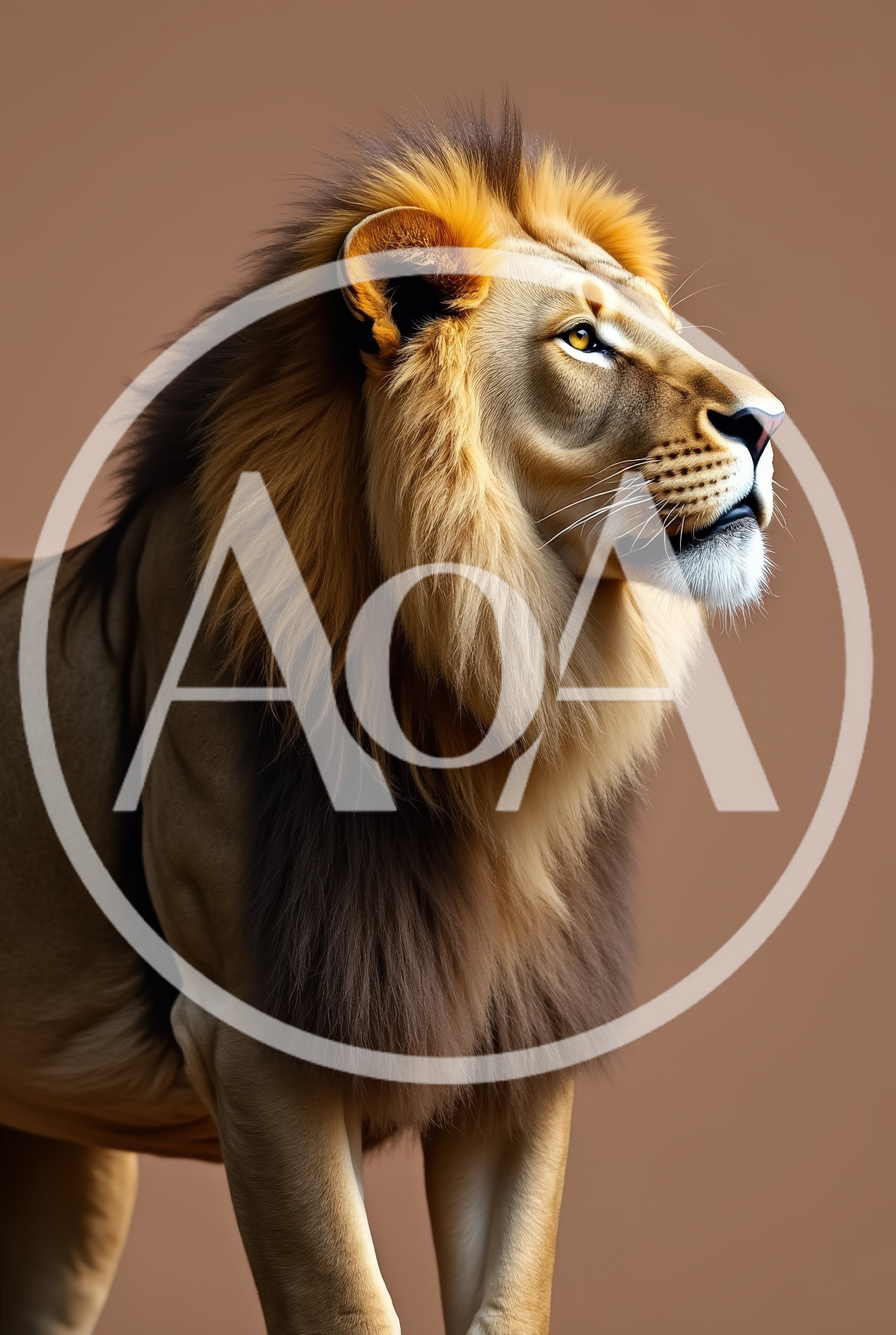 Majestic Male Lion Profile Portrait
