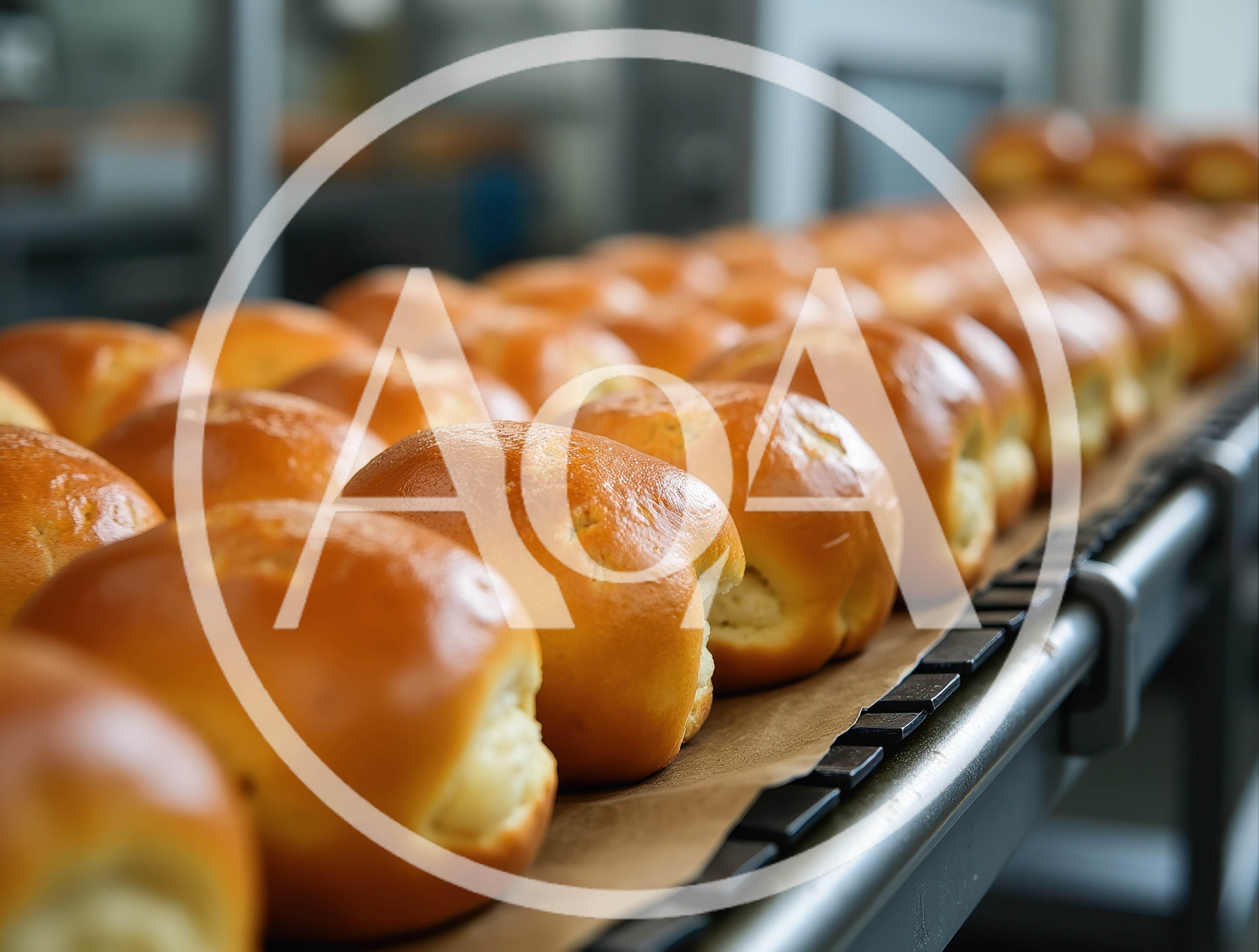 Freshly Baked Golden Bread Rolls On Industrial Conveyor Belt