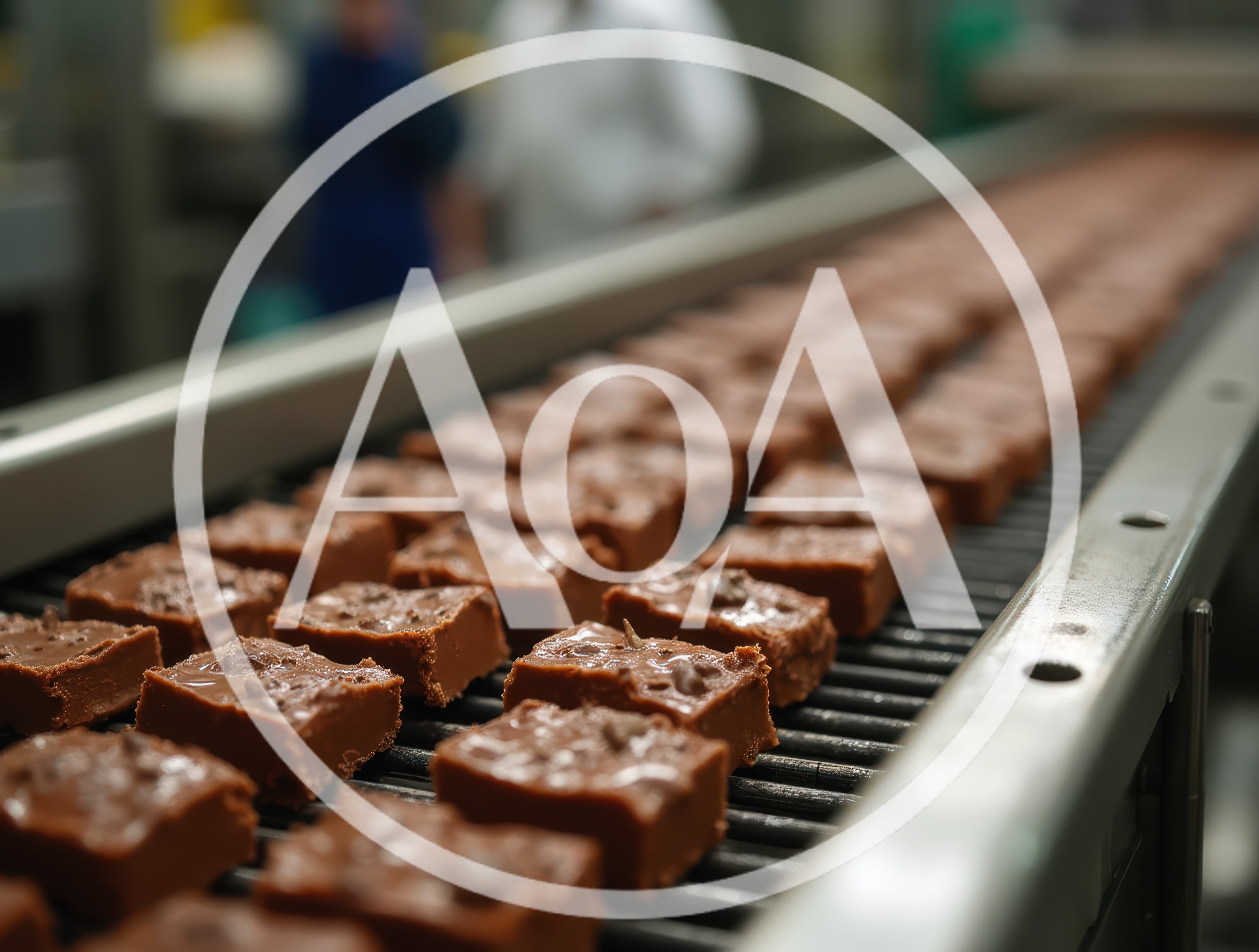 Chocolate Brownies Moving Along Industrial Conveyor Belt