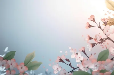Soft Pink Cherry Blossom Branches Against Pastel Background