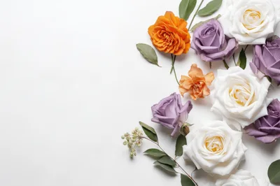 Assorted Roses and Greenery on White Background