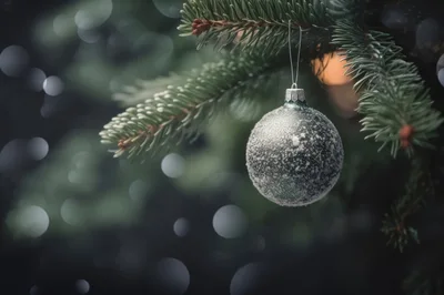 Frosted Christmas Ornament Hanging On Pine Tree Branch