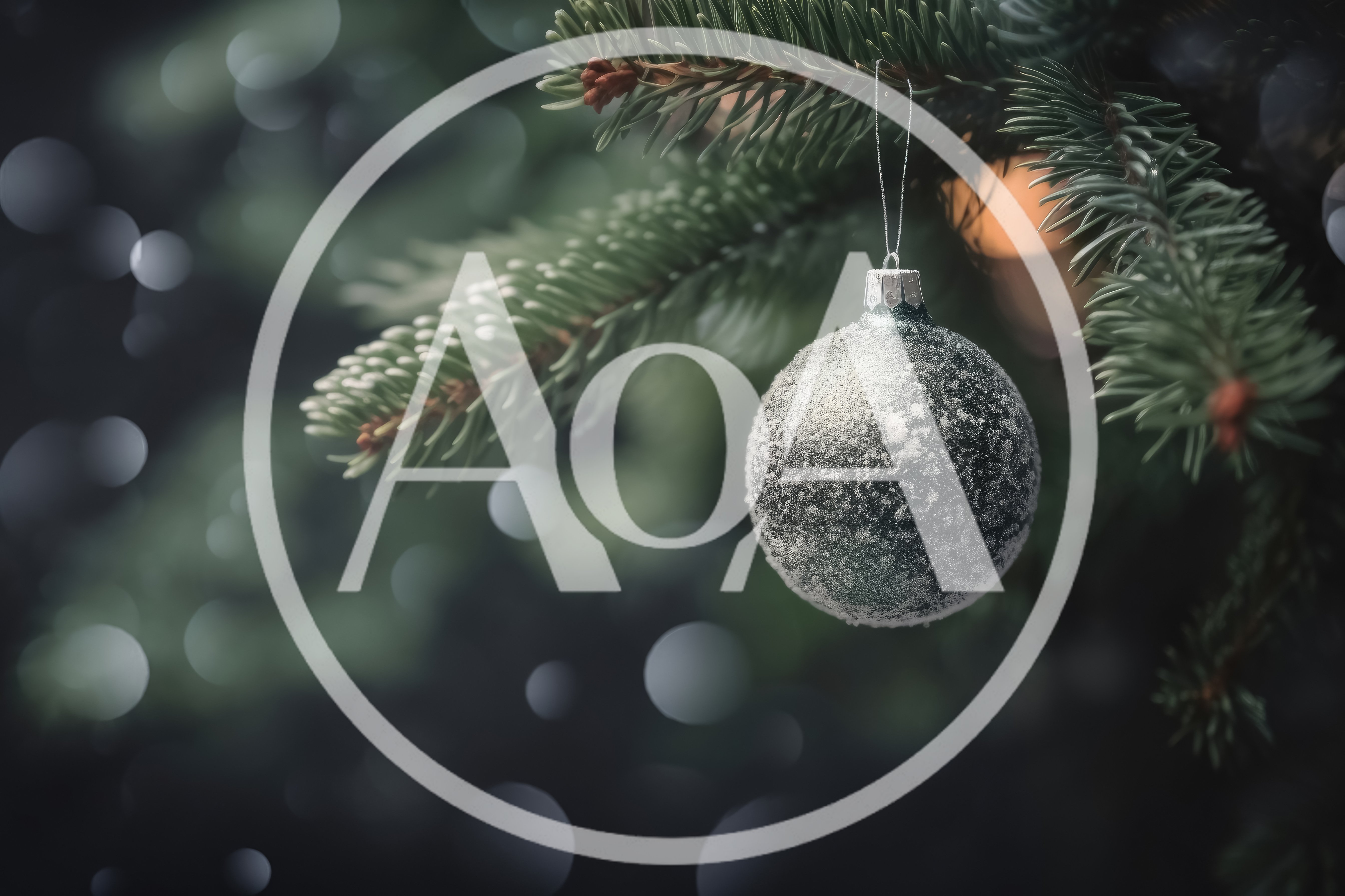 Frosted Christmas Ornament Hanging On Pine Tree Branch