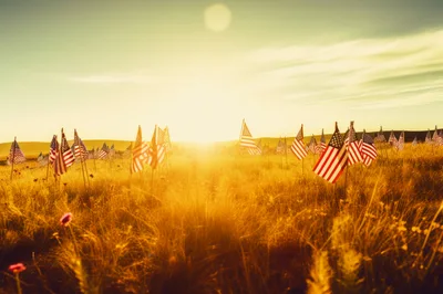 American Flags Displayed in Grassy Field at Sunset