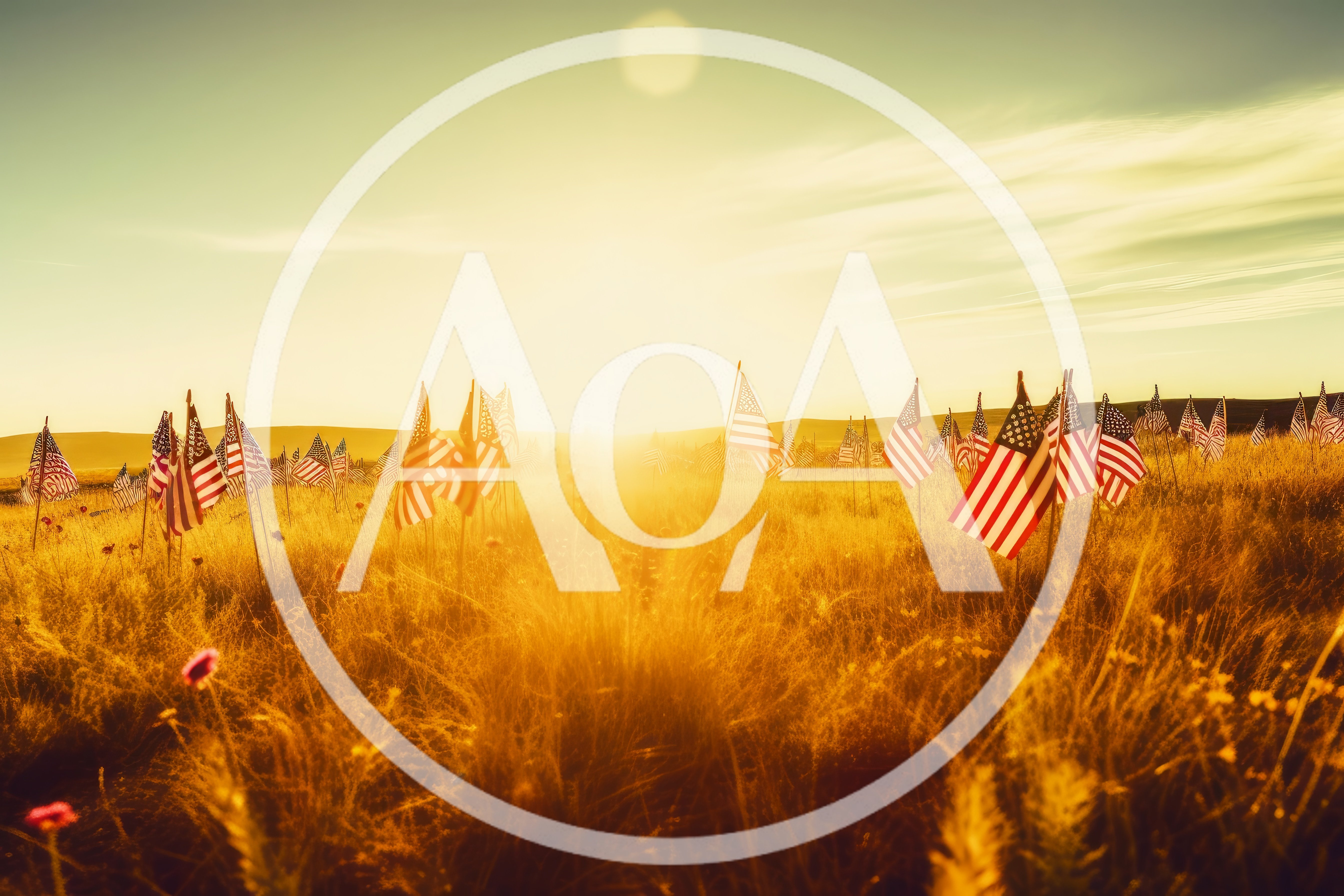 American Flags Displayed in Grassy Field at Sunset
