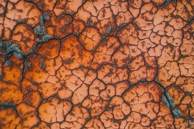 Macro View Of Cracked Dry Earth Texture