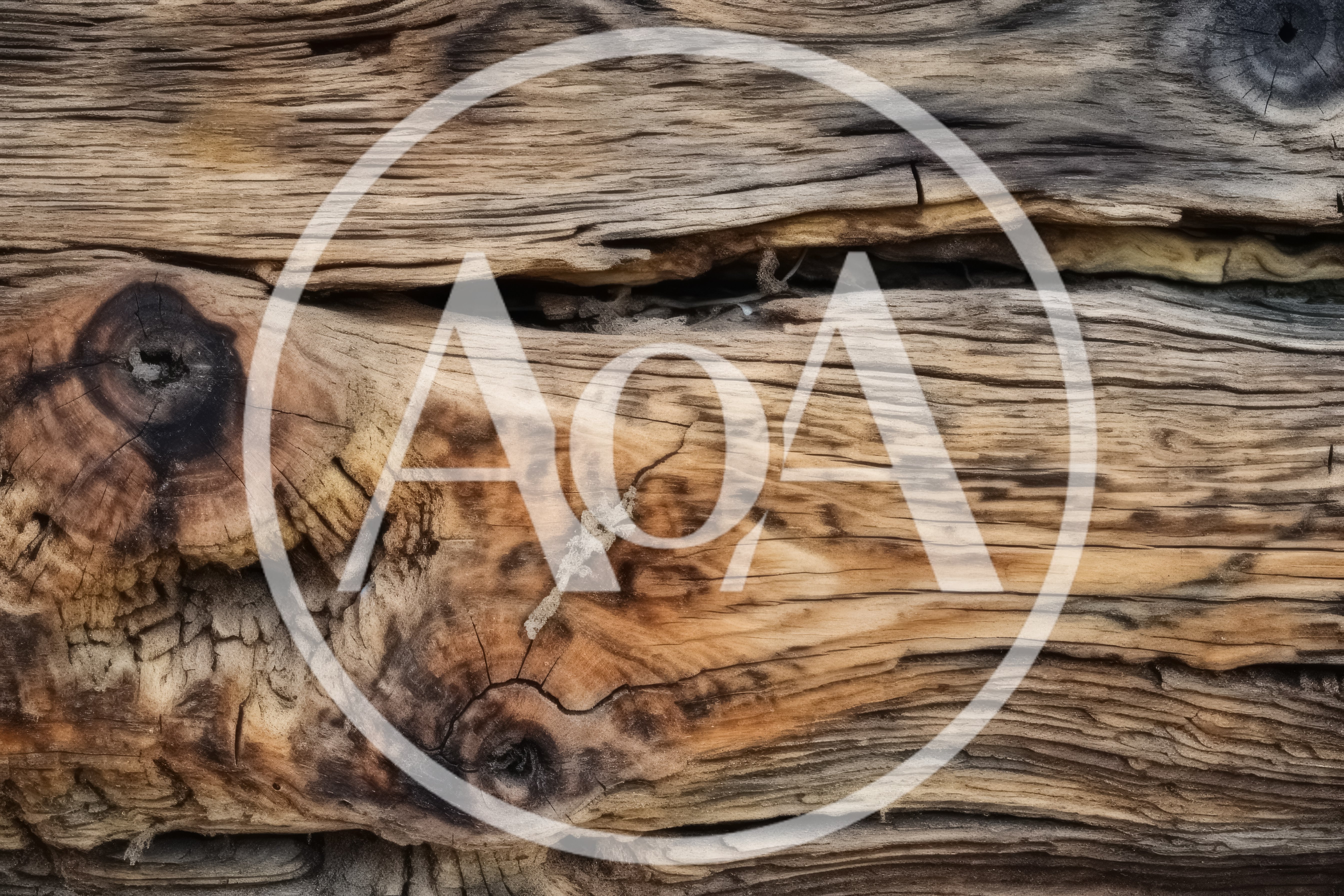 Weathered Wooden Log Texture With Natural Knots