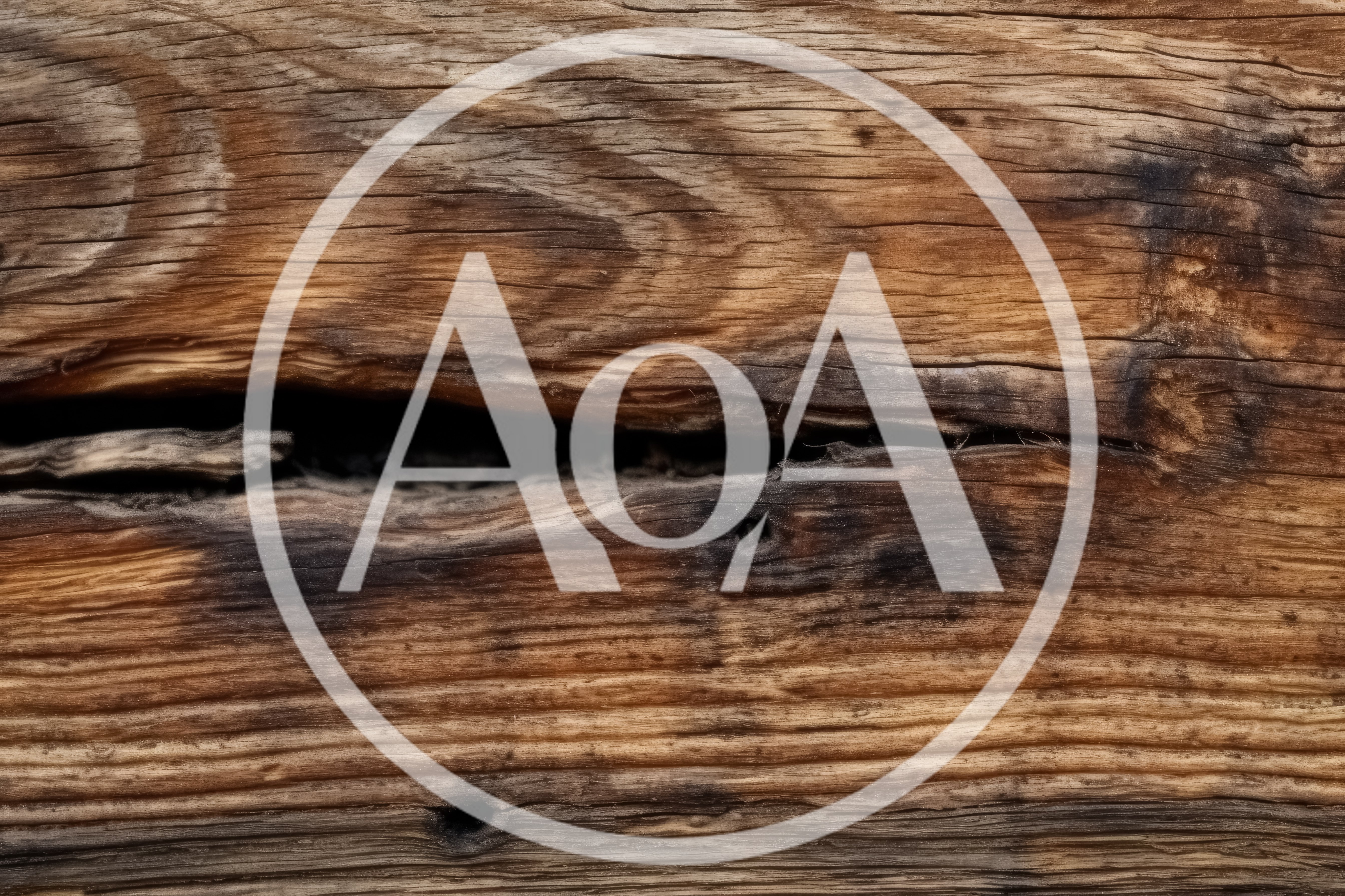Close Up Of Weathered Wooden Log Texture