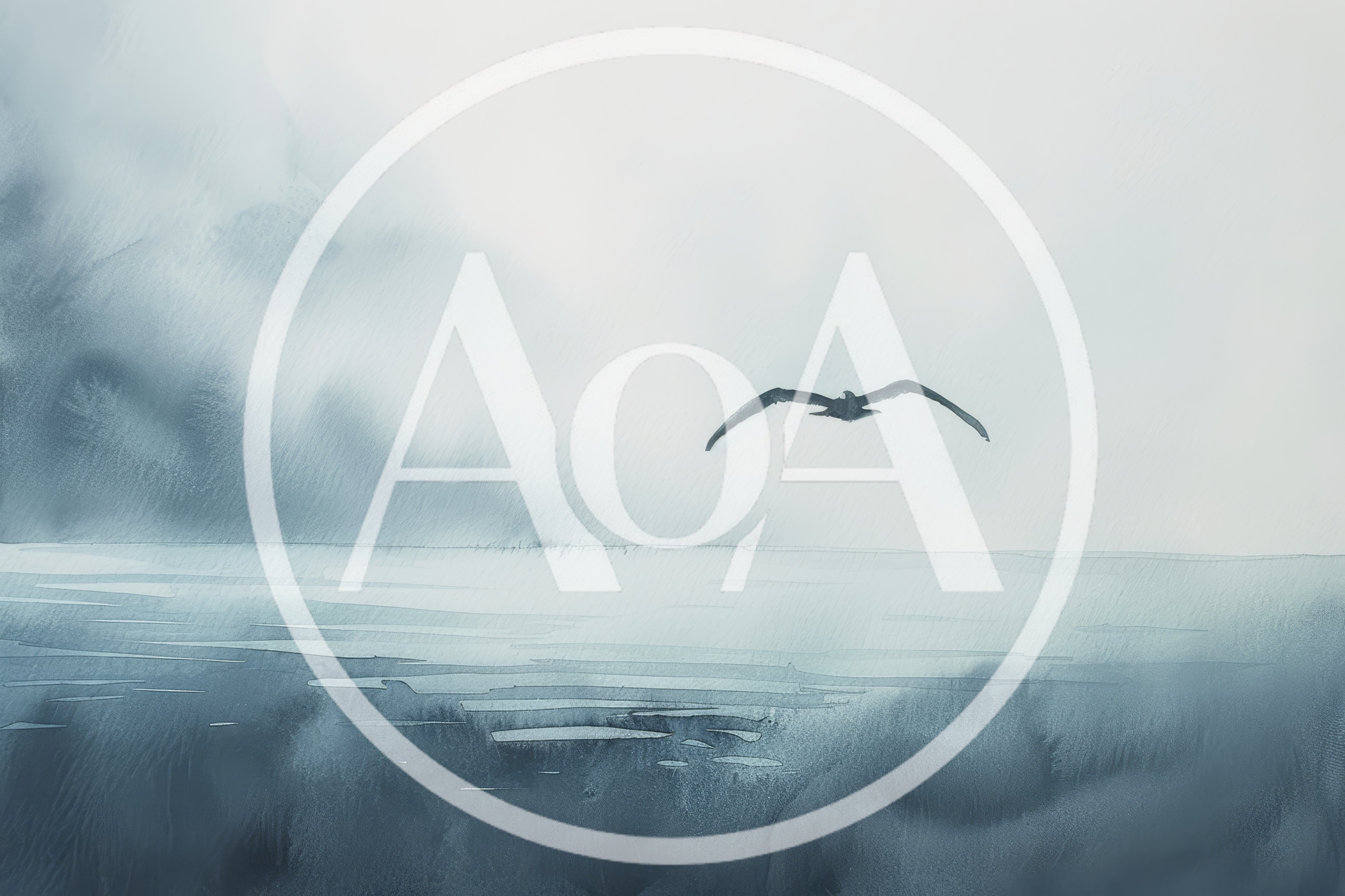 Lone Bird Flying Over A Misty Ocean