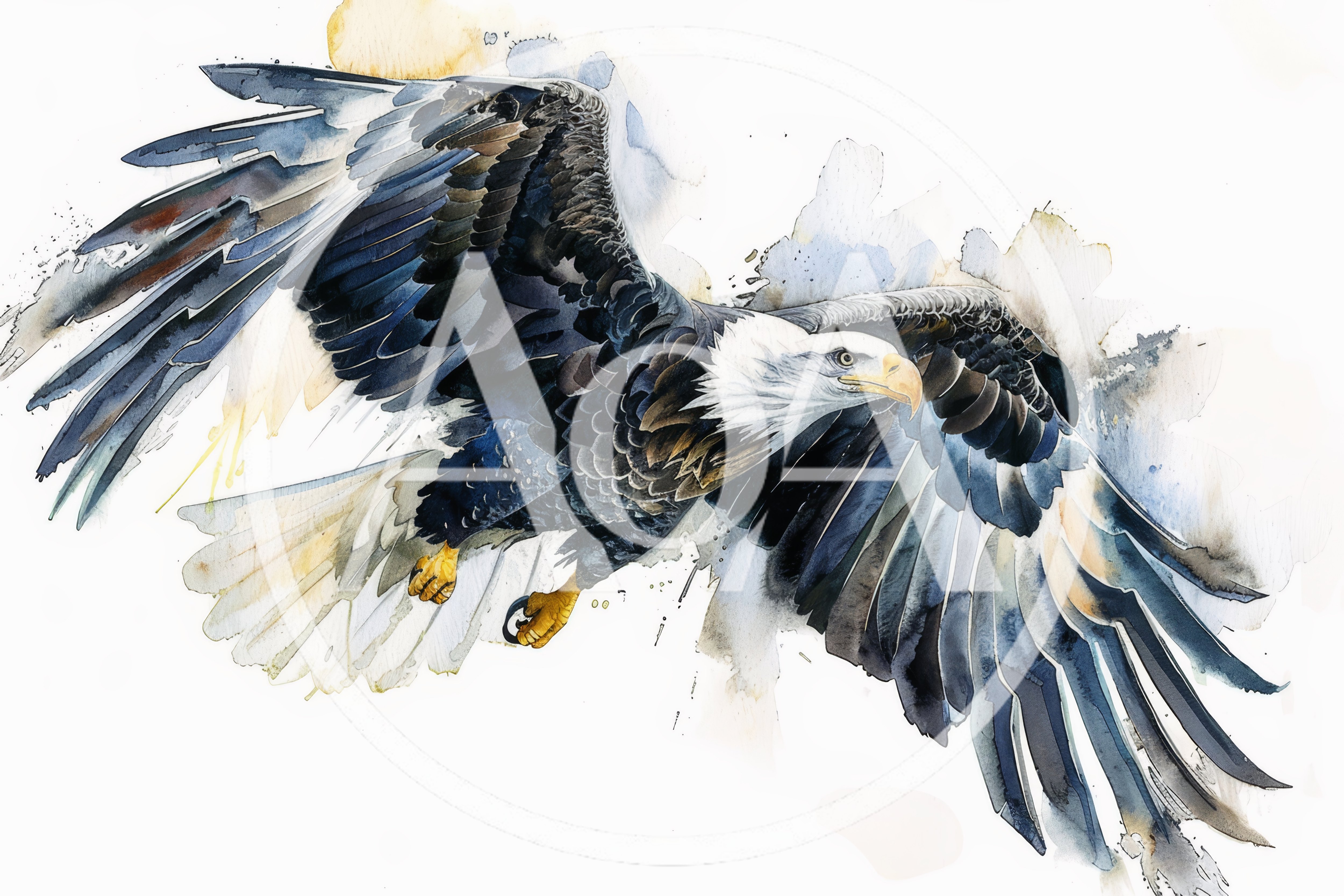 Watercolor Painting Of A Soaring Bald Eagle