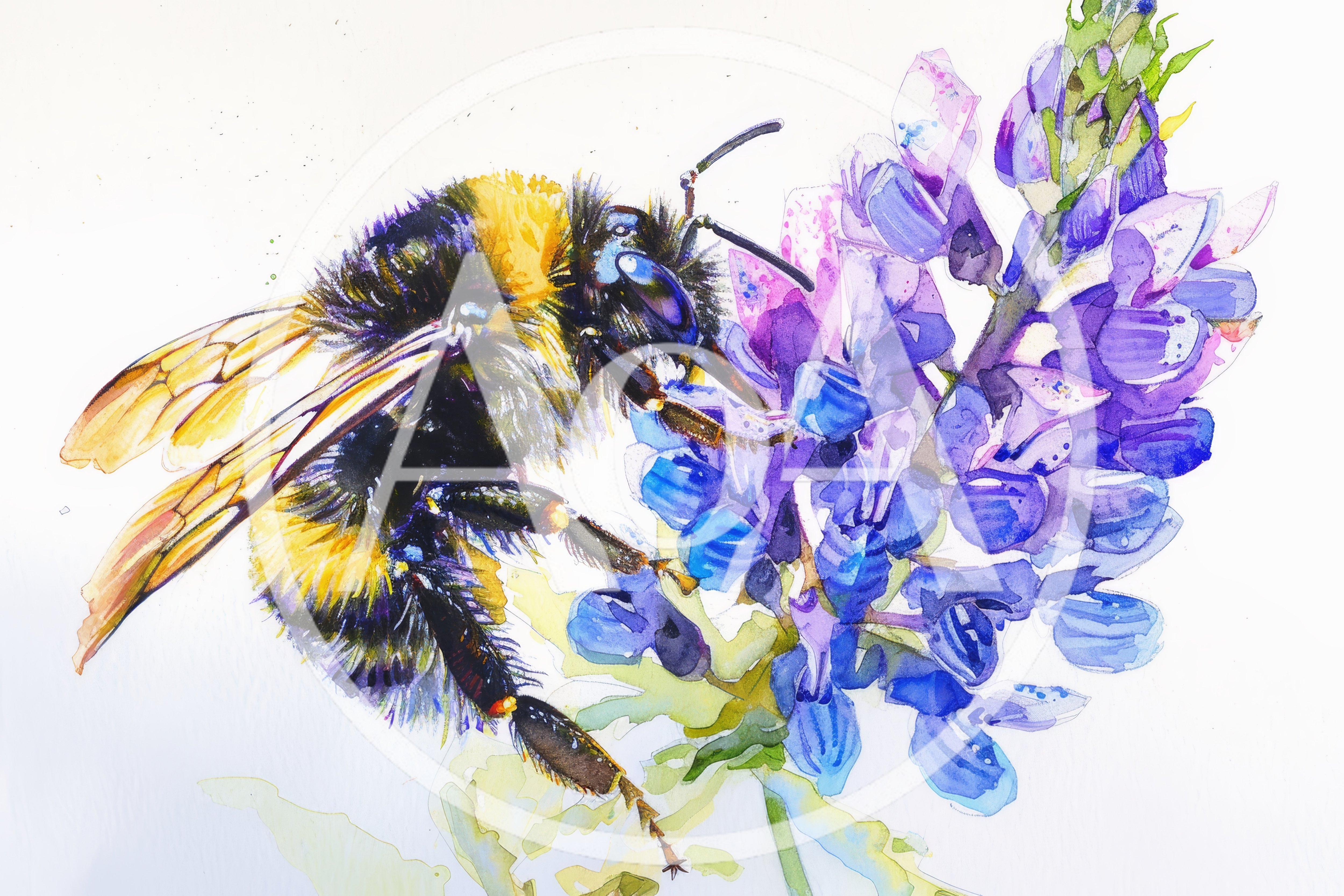 Watercolor Painting Of A Bumblebee On A Lupine Flower