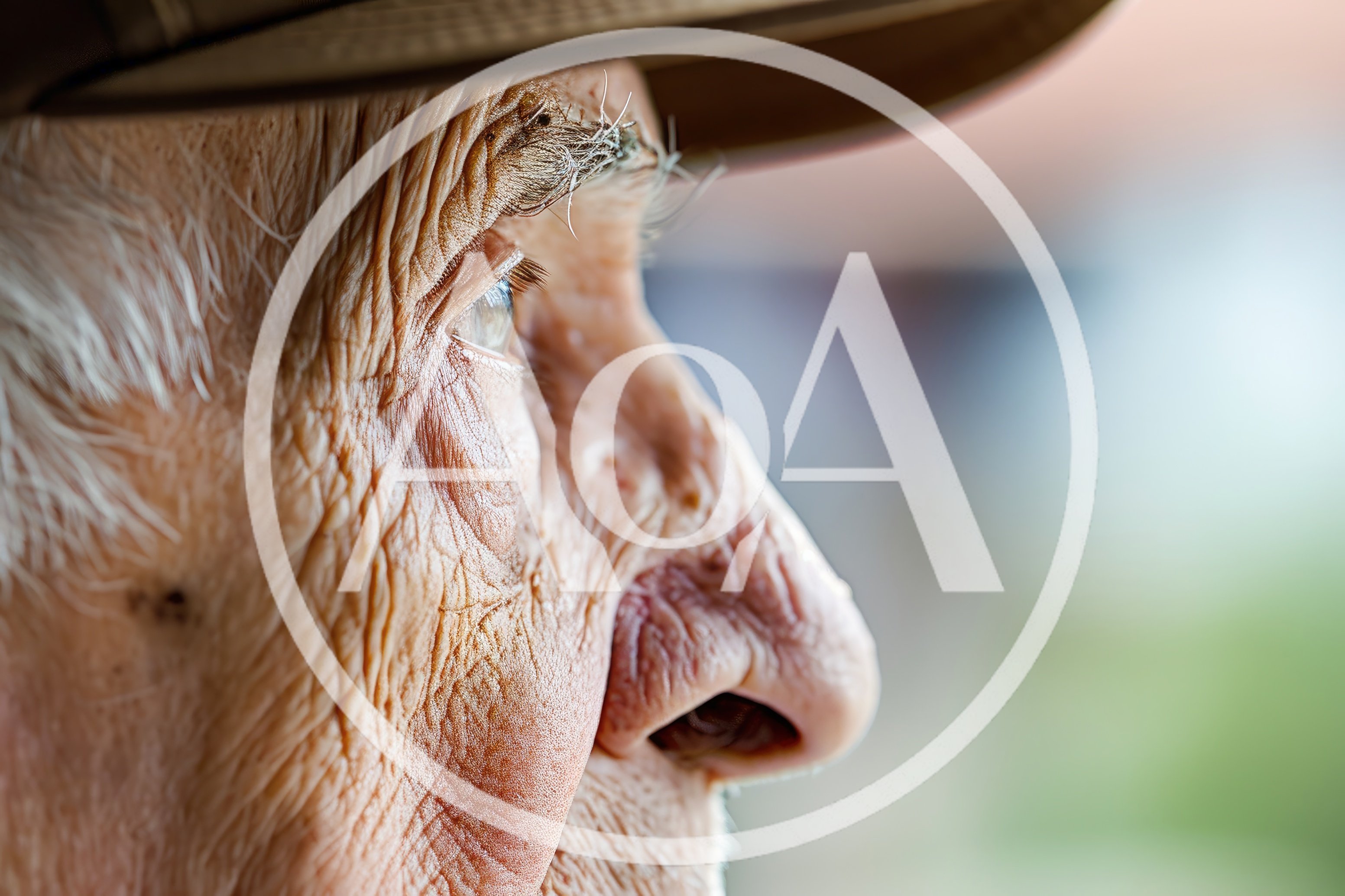 Extreme Close Up Of An Elderly Man Profile