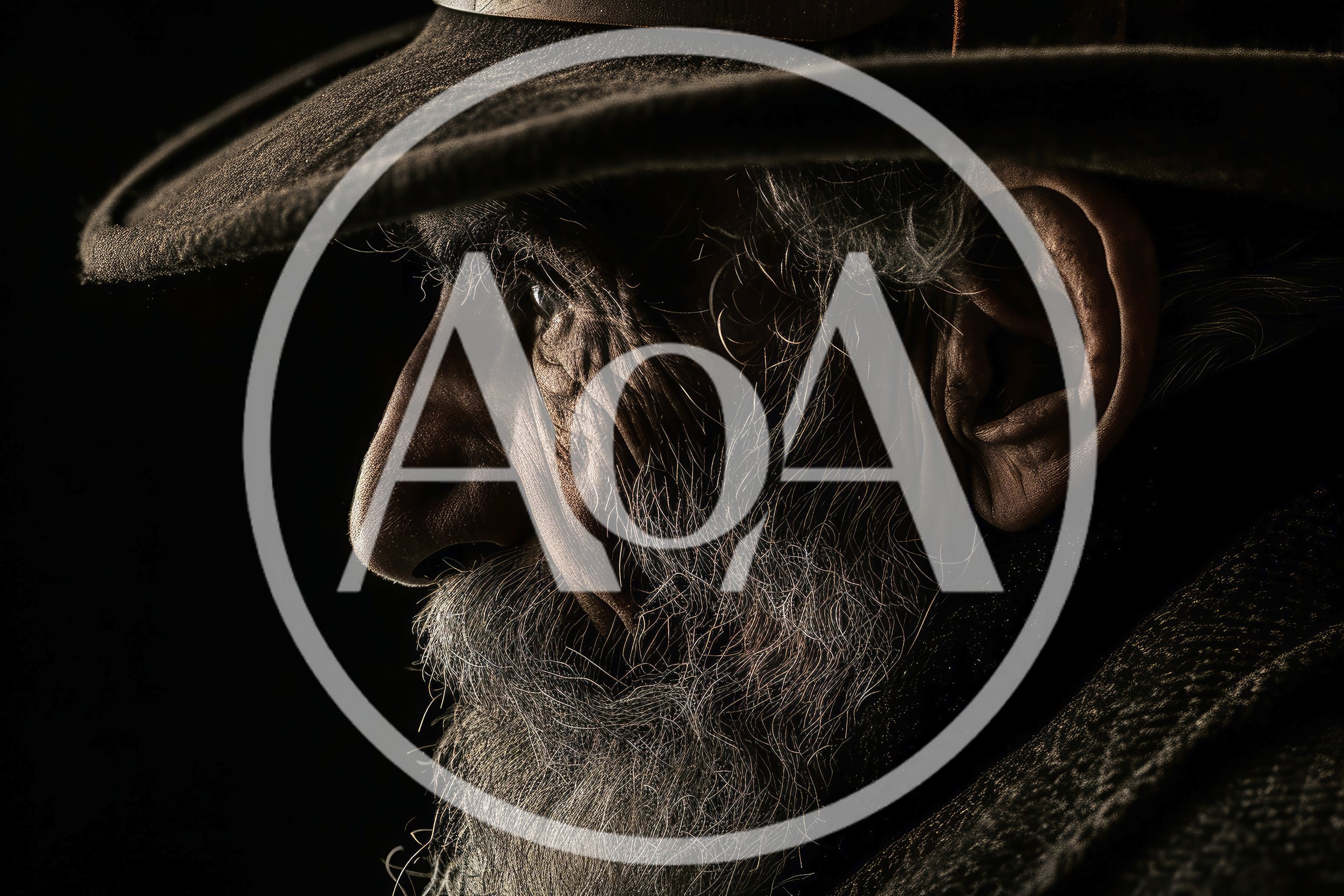 Profile Portrait Of An Elderly Man With A Beard