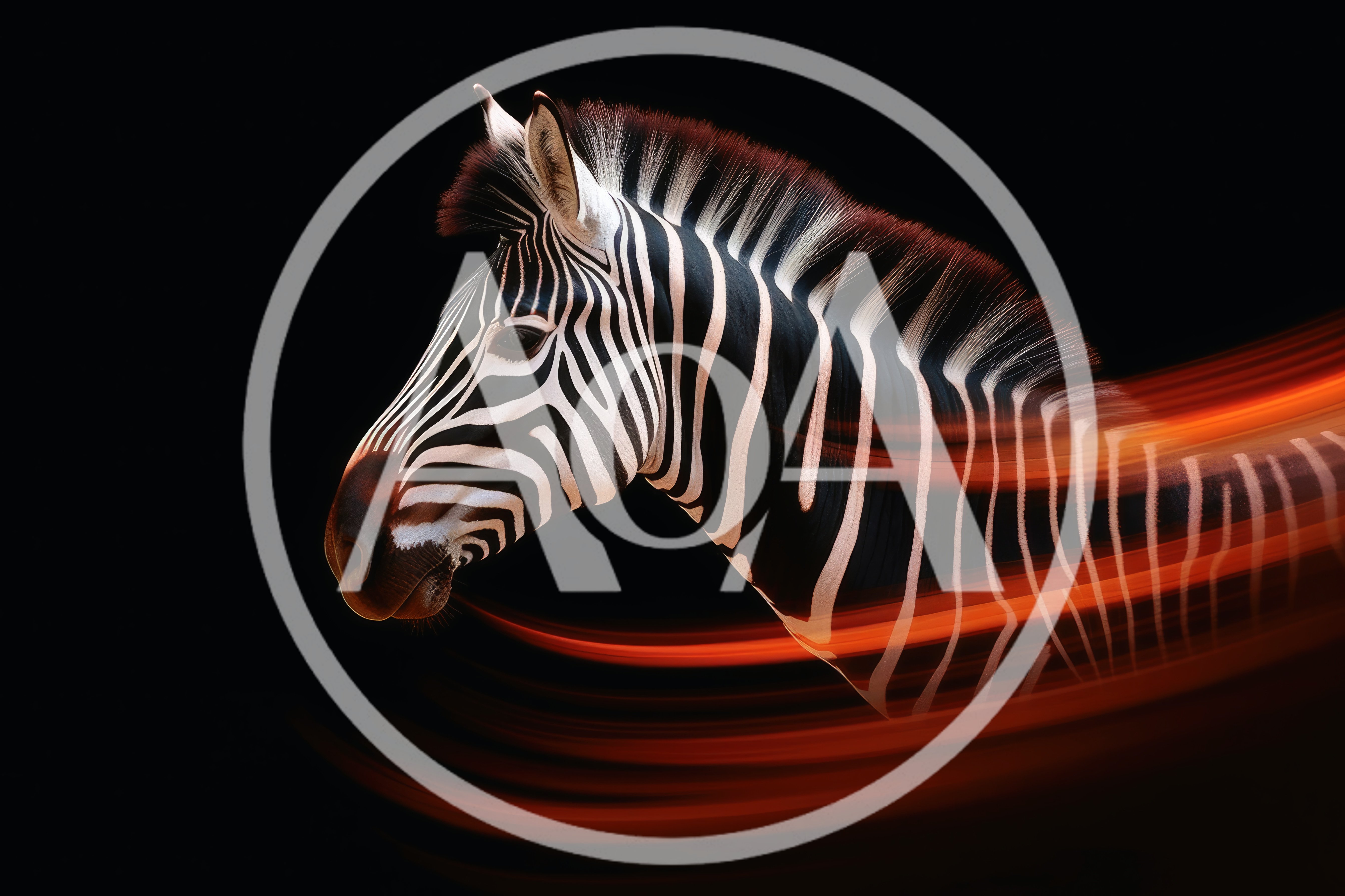 Zebra Head Portrait With Dynamic Orange Light Trails