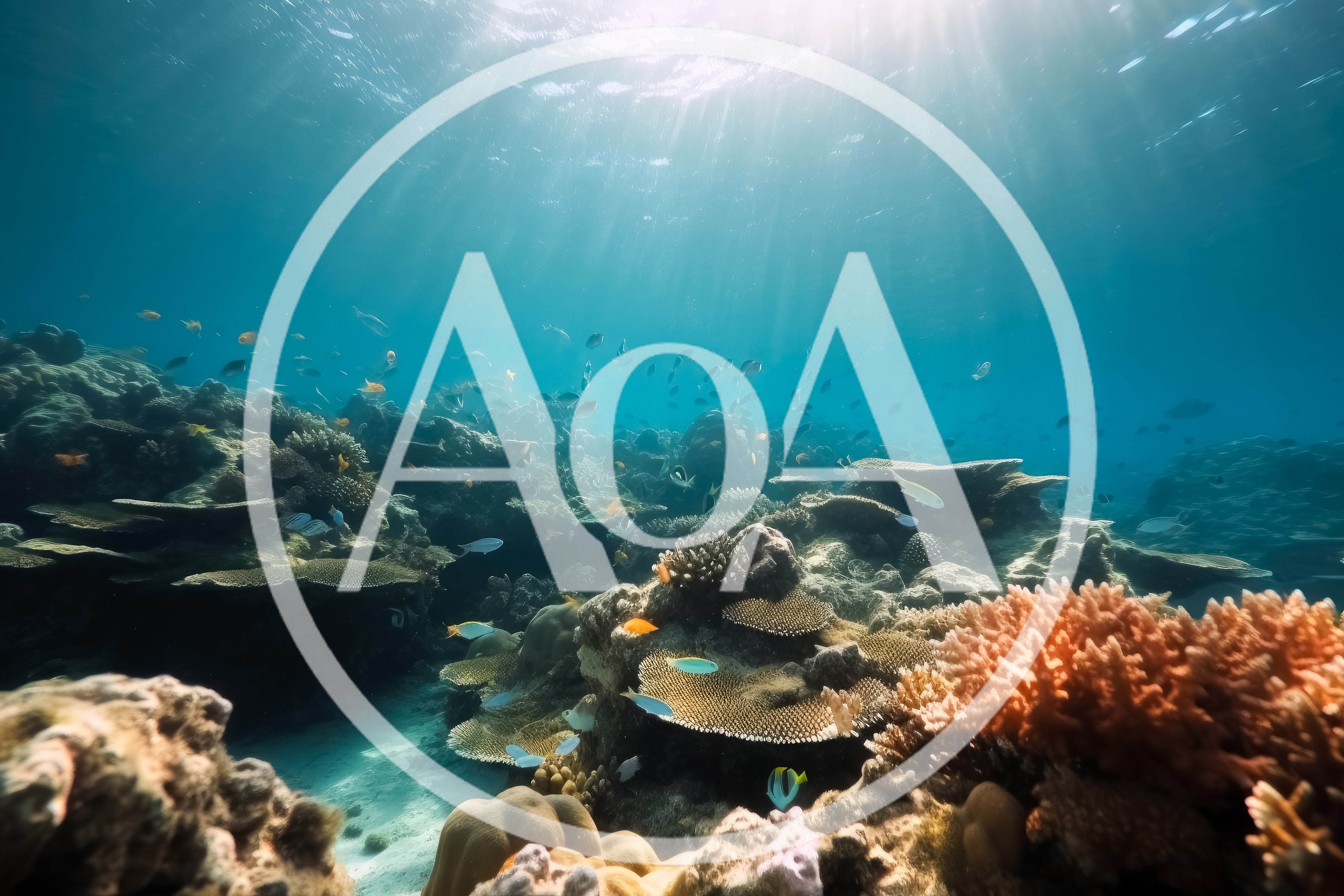 Vibrant Coral Reef Ecosystem With Tropical Fish