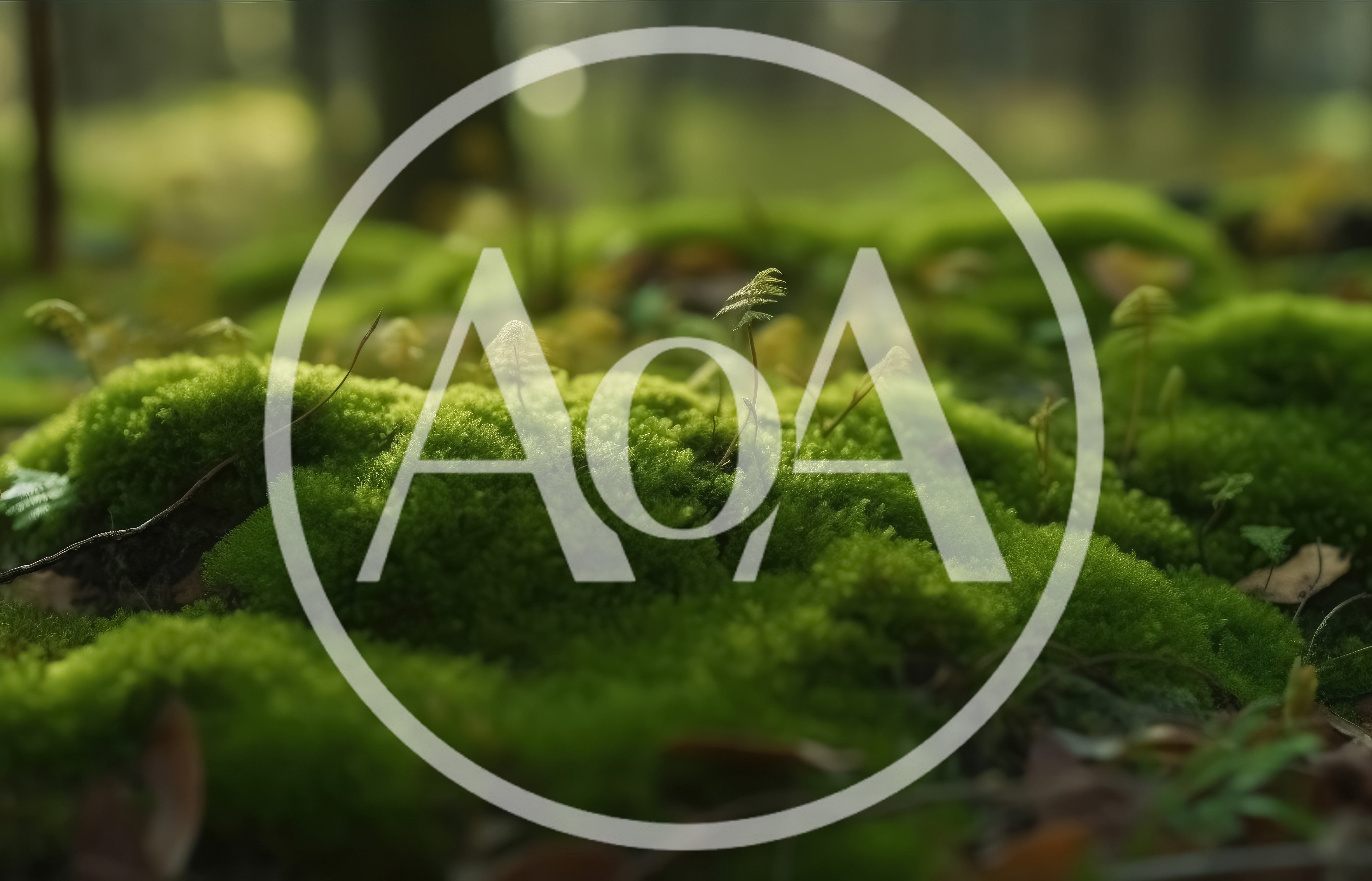 Lush Green Moss Growing On Forest Floor