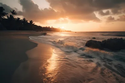 Golden Sunset Over Tropical Beach With Crashing Waves
