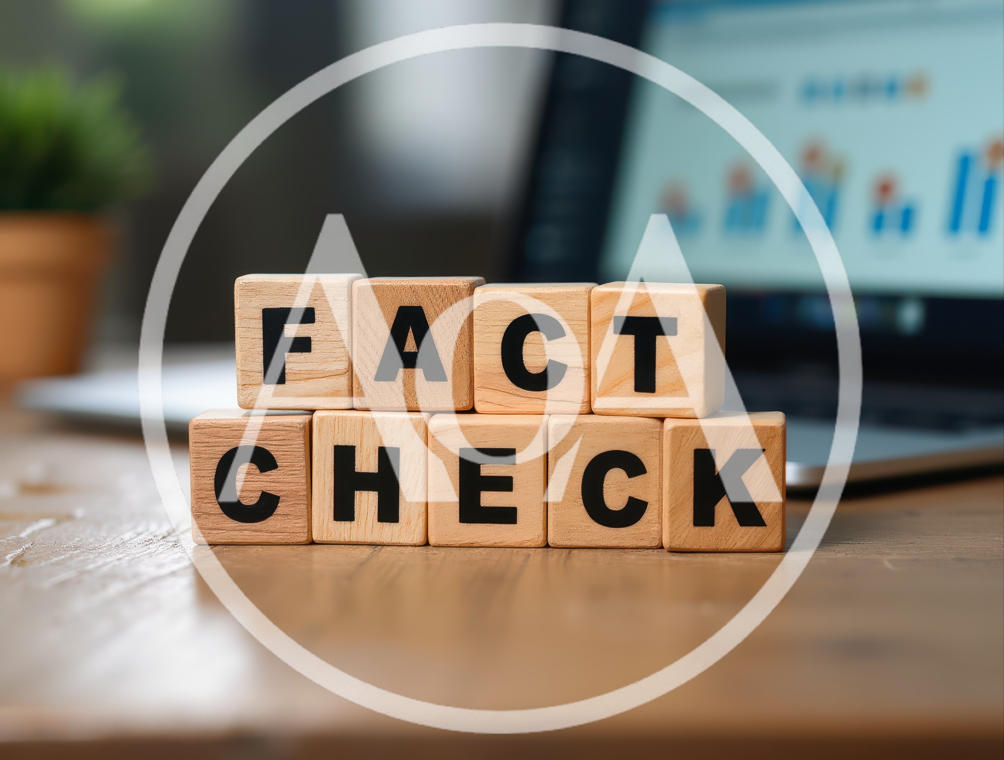 Wooden Blocks Spelling Fact Check on Office Desk